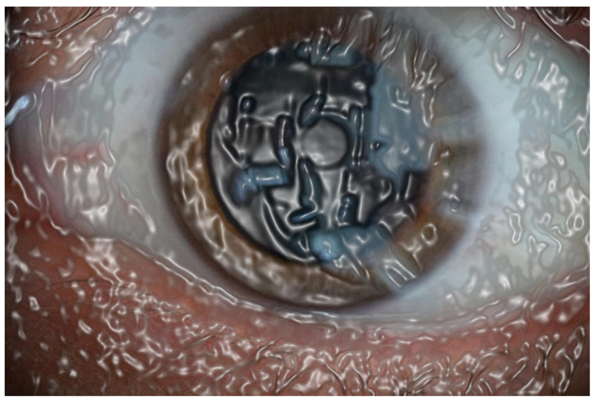 Preprints 69699 g005