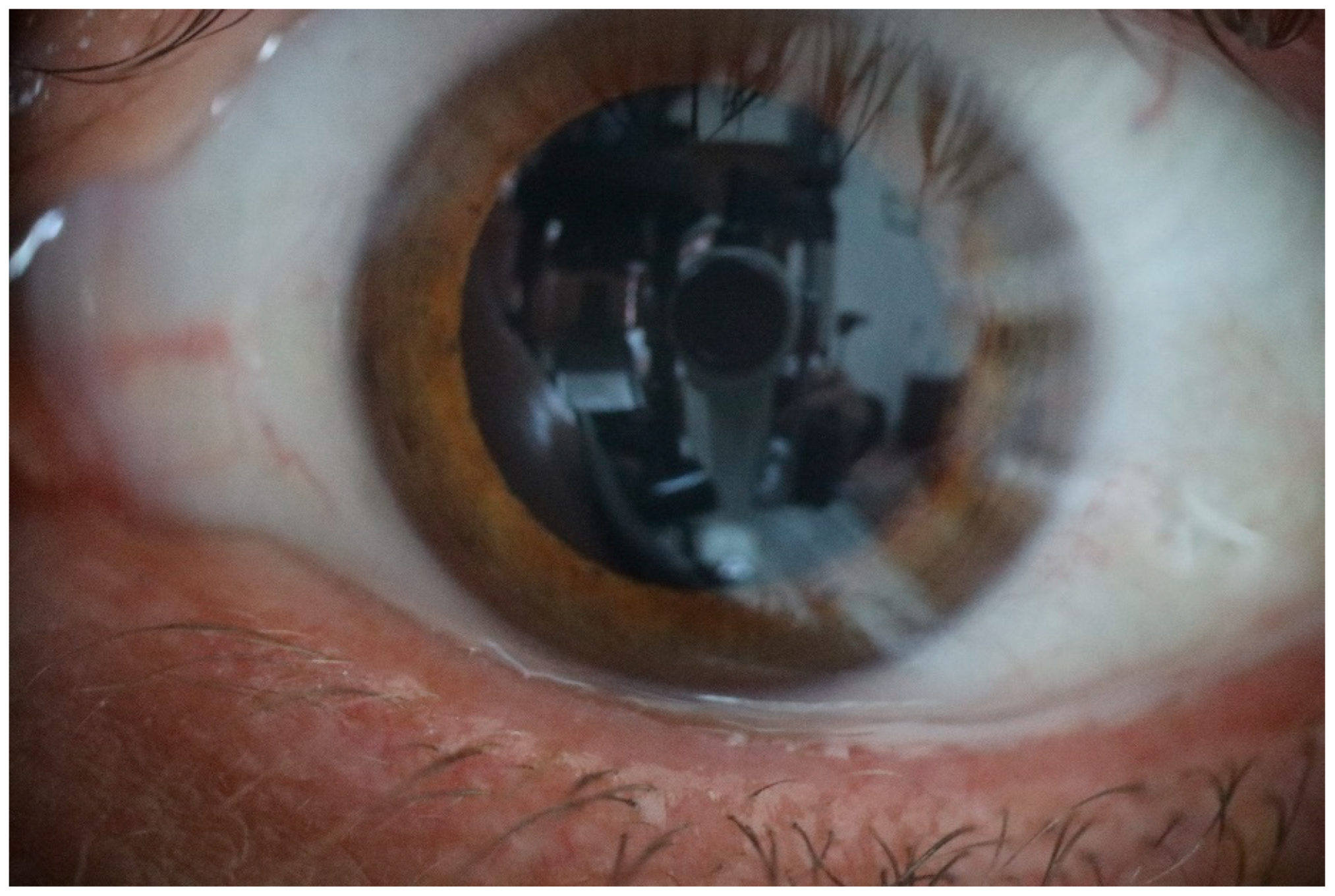 Preprints 69699 g006