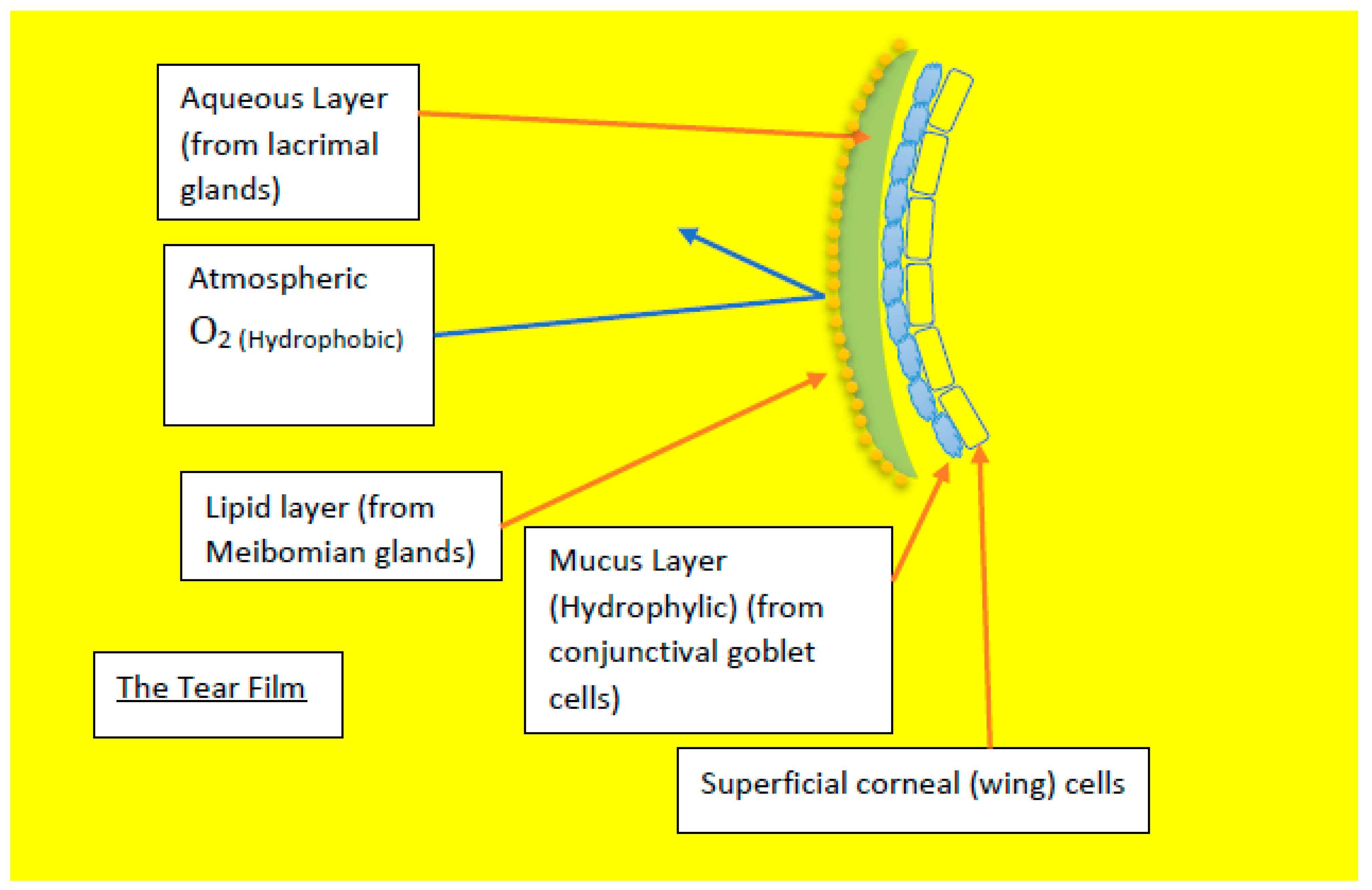 Preprints 69699 g008