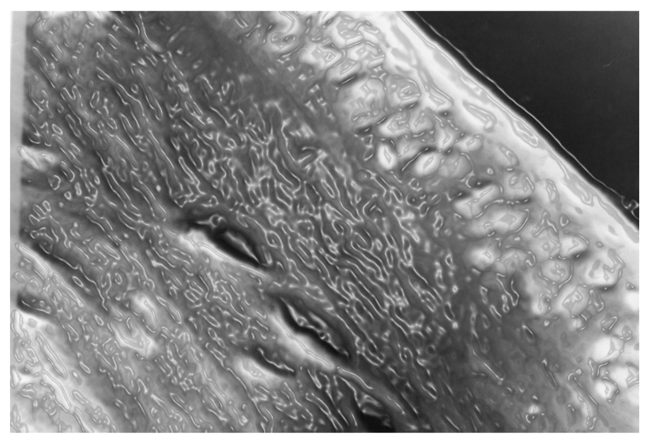 Preprints 69699 g013