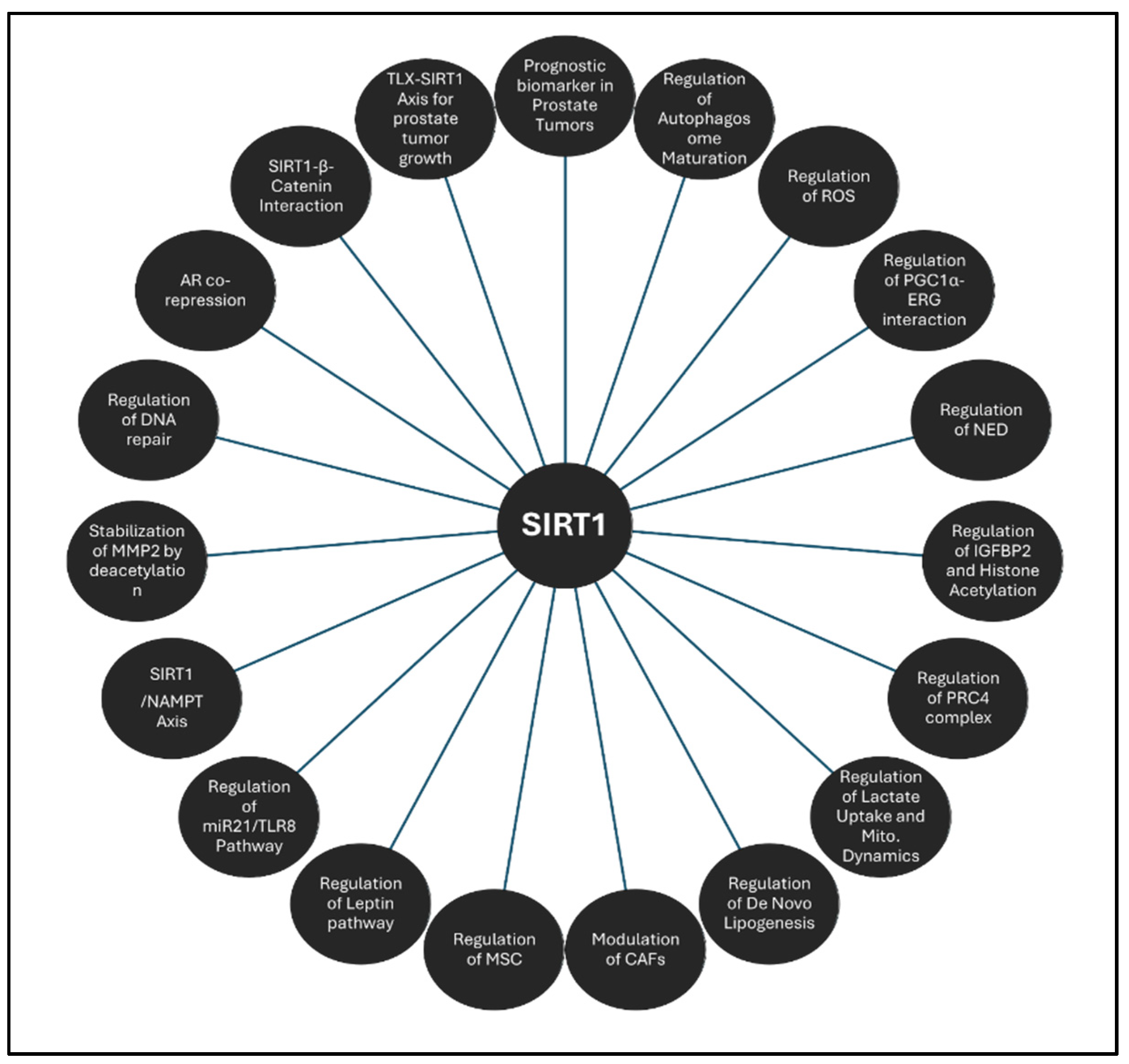 Preprints 139668 g003