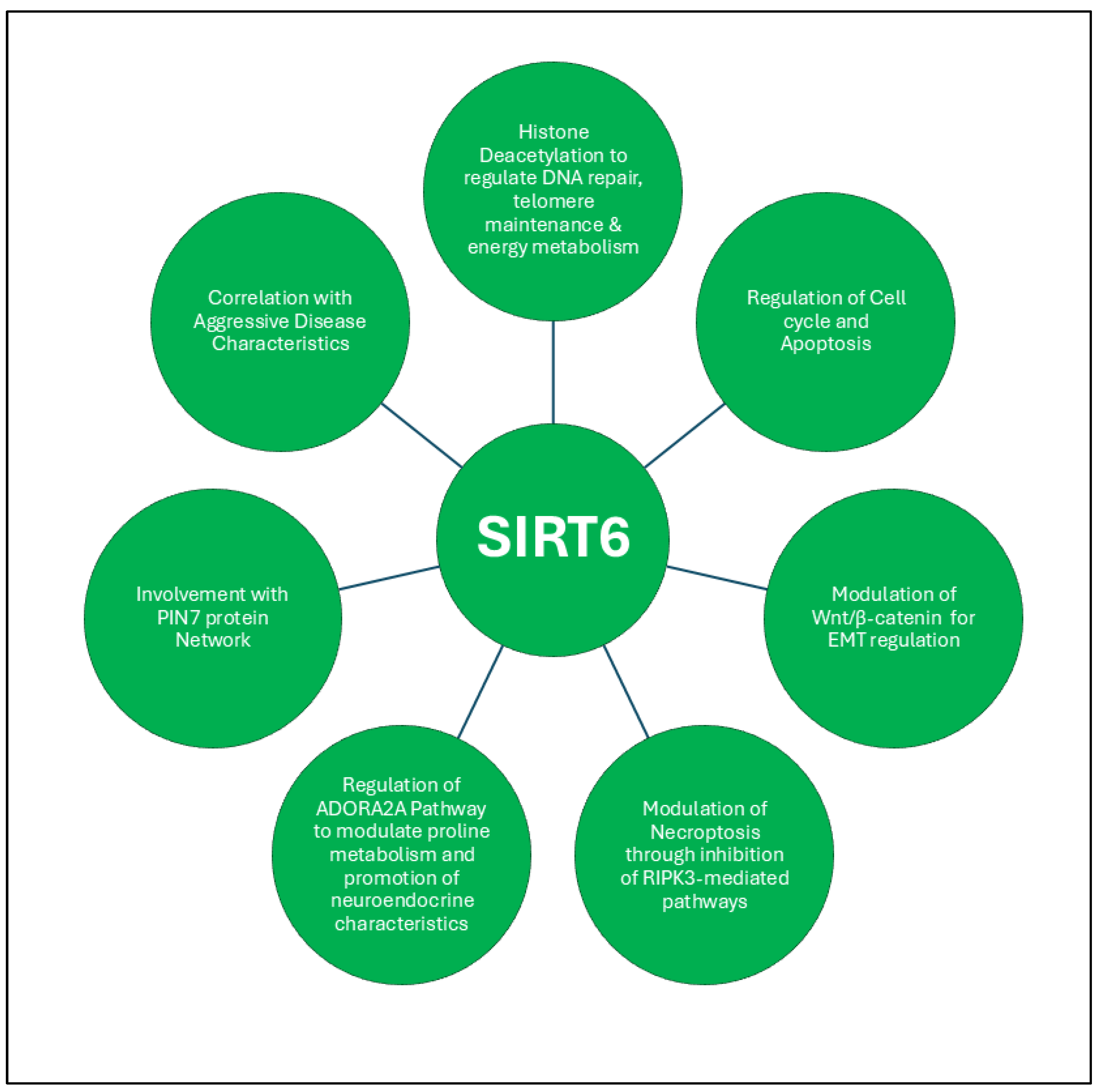 Preprints 139668 g005