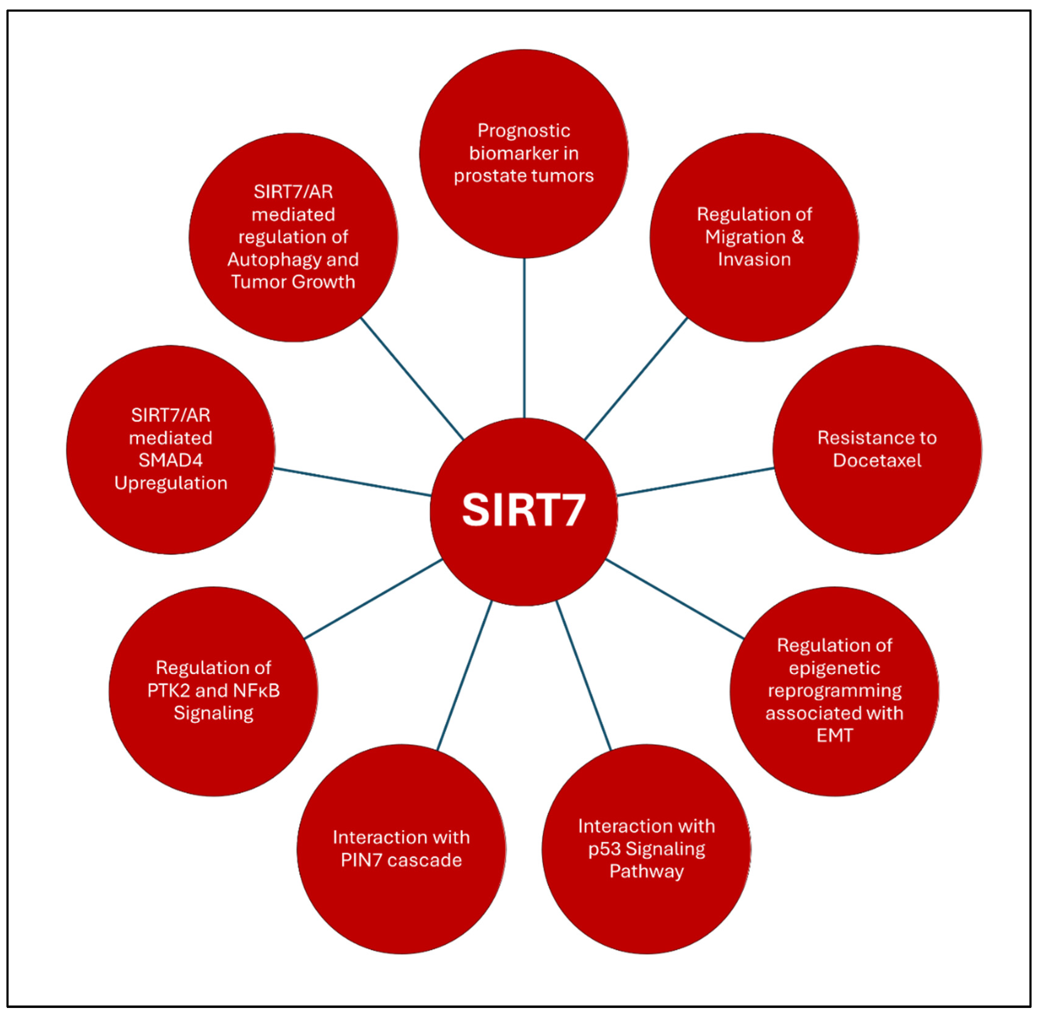 Preprints 139668 g006