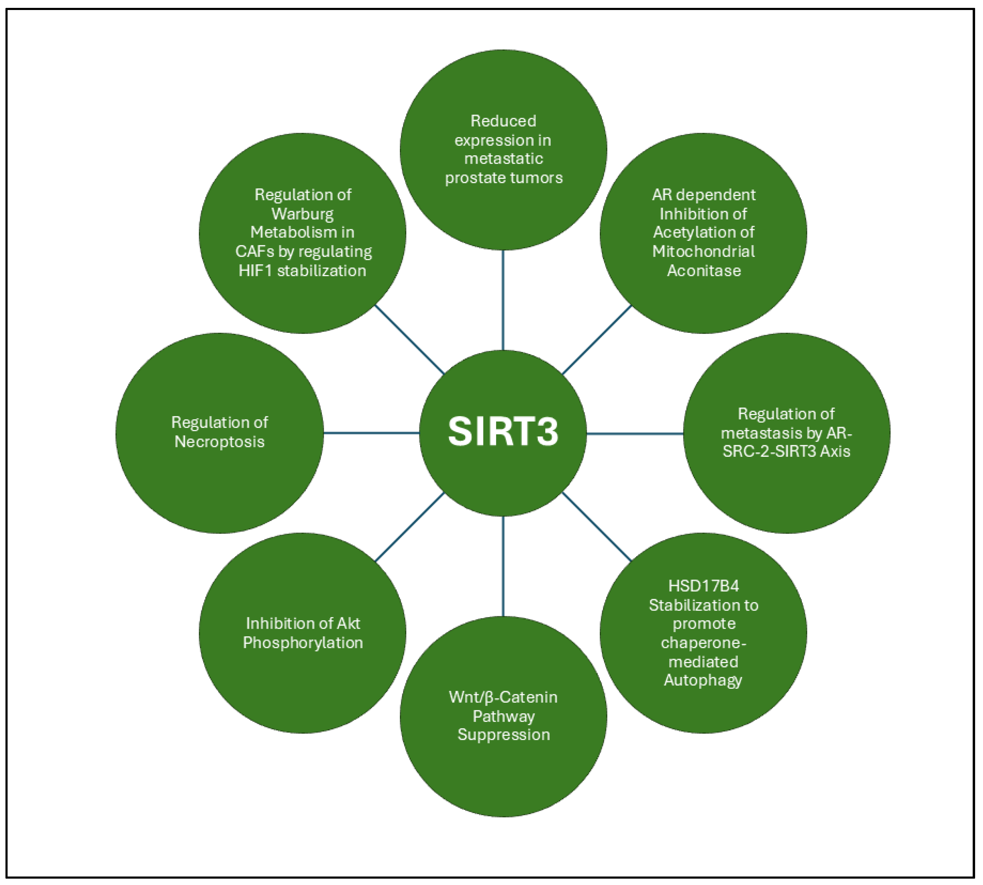 Preprints 139668 g007