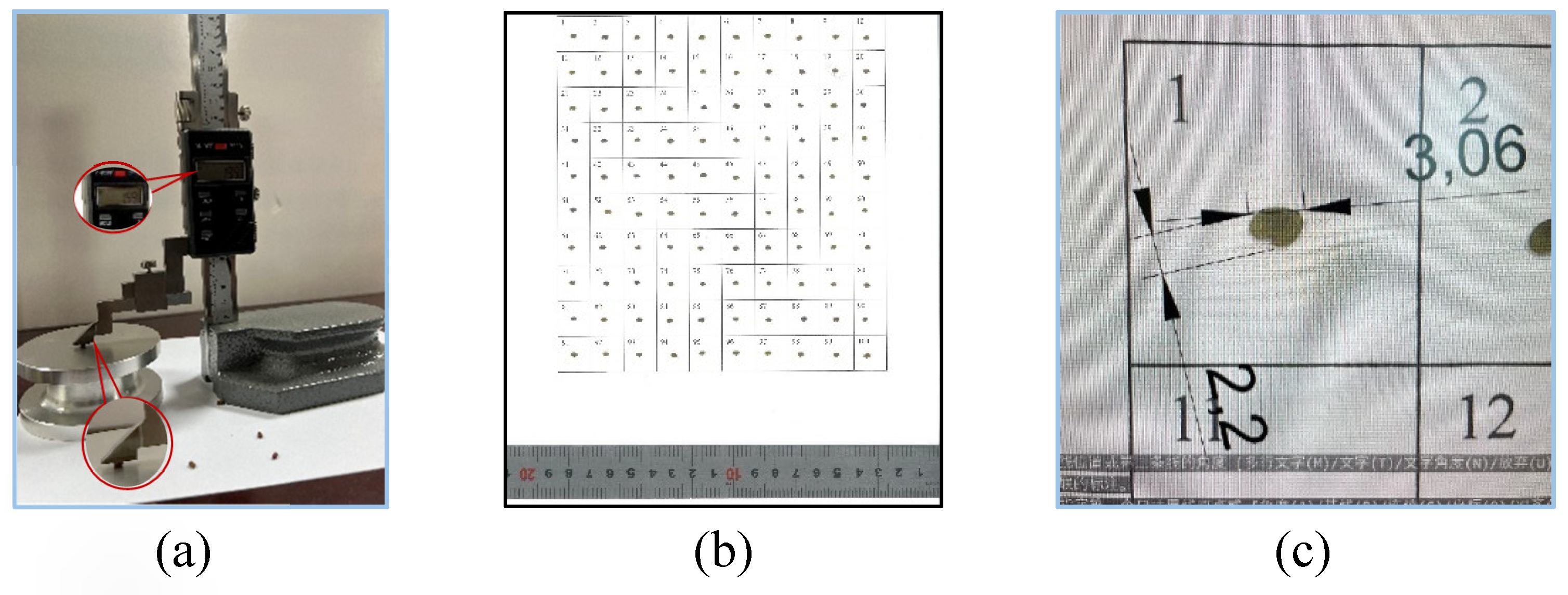 Preprints 166591 g002