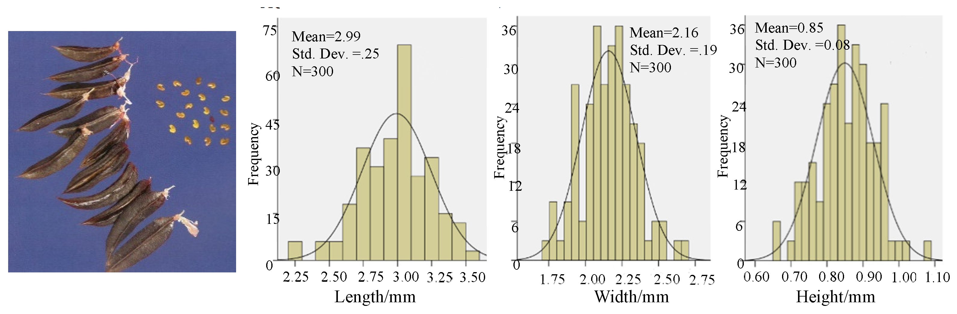 Preprints 166591 g008