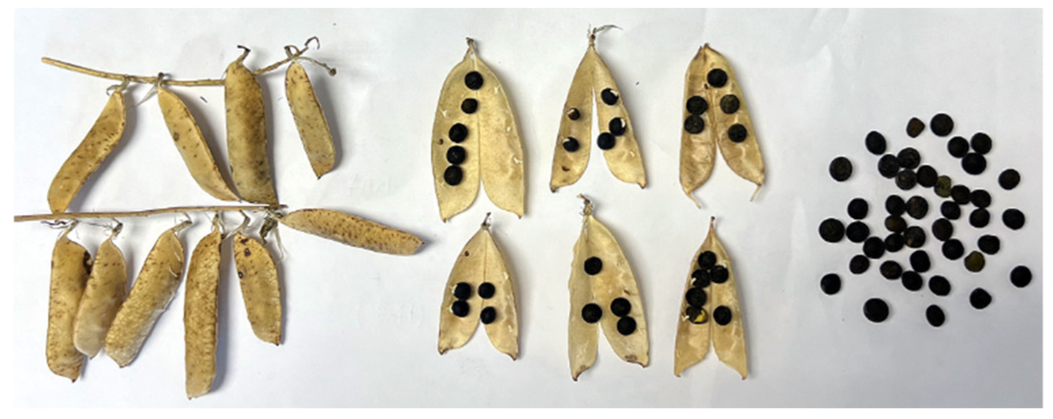 Preprints 166591 g009a