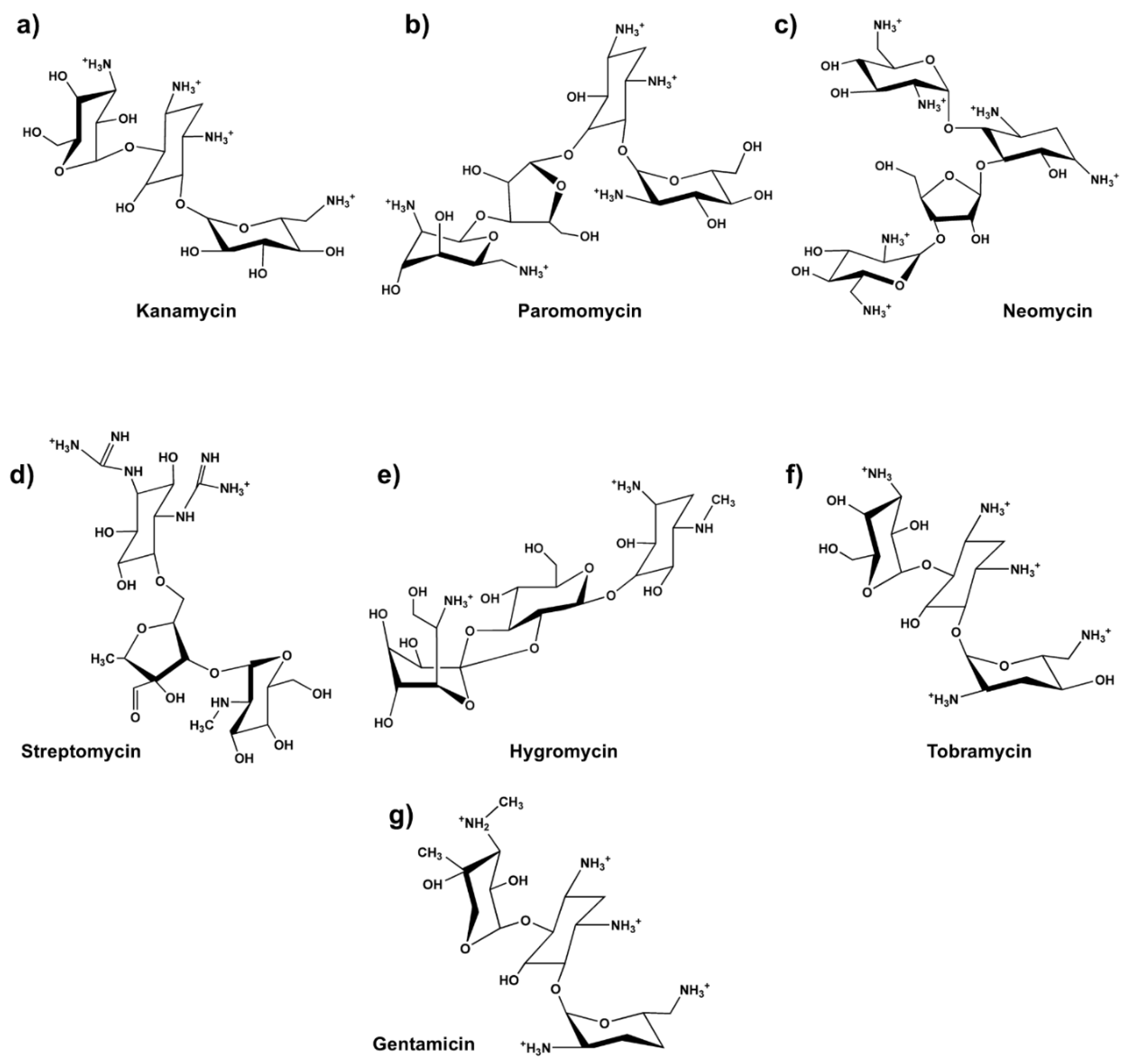 Preprints 154467 g002