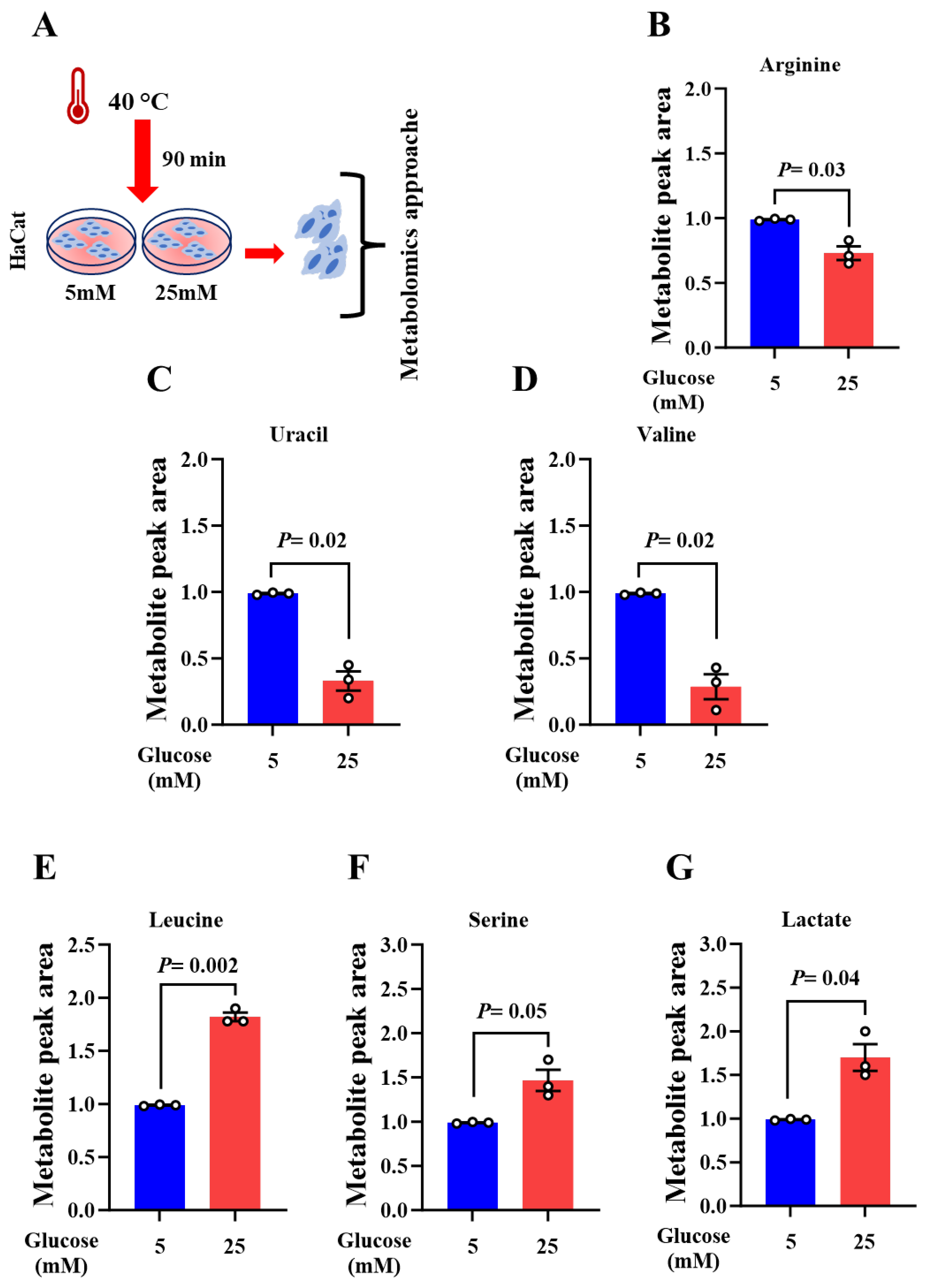 Preprints 108126 g001