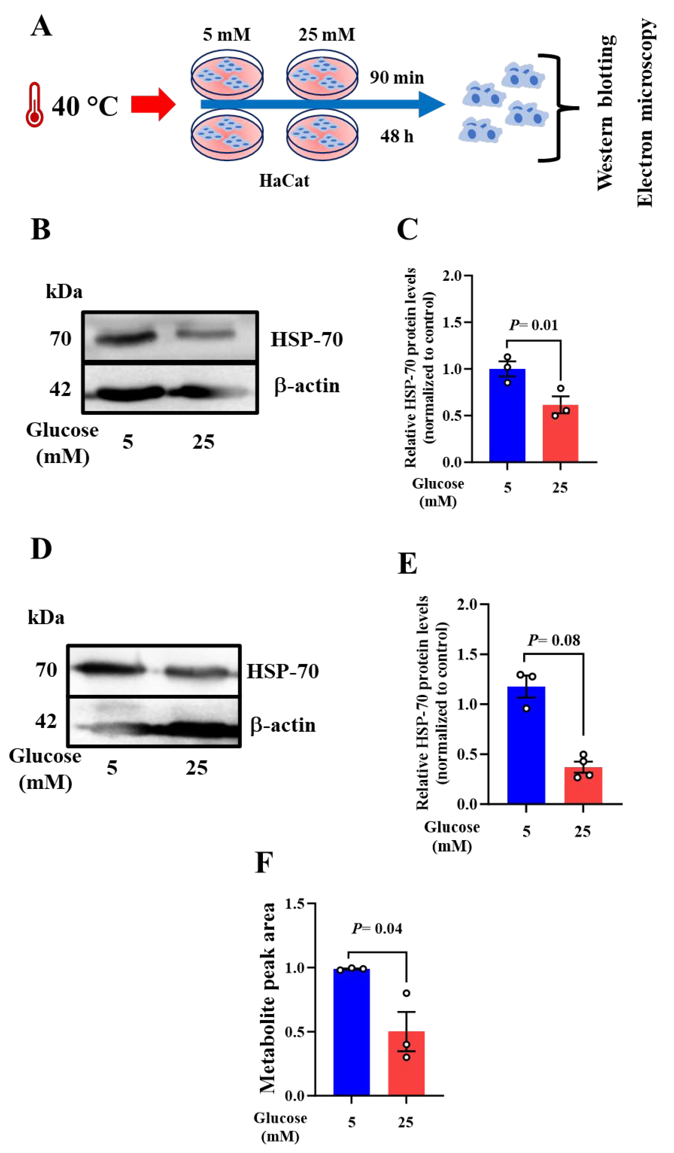 Preprints 108126 g003