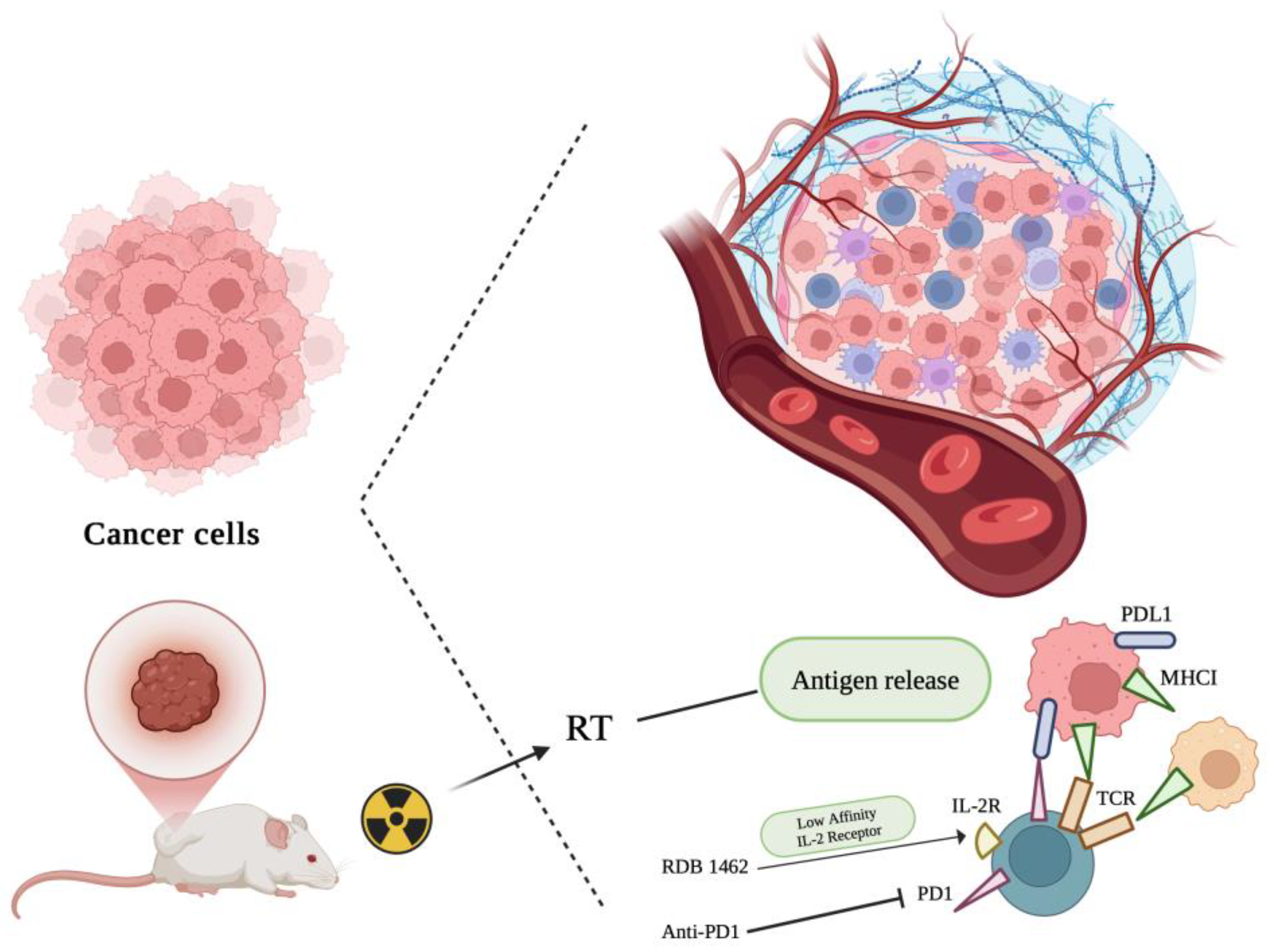 Preprints 140963 g002