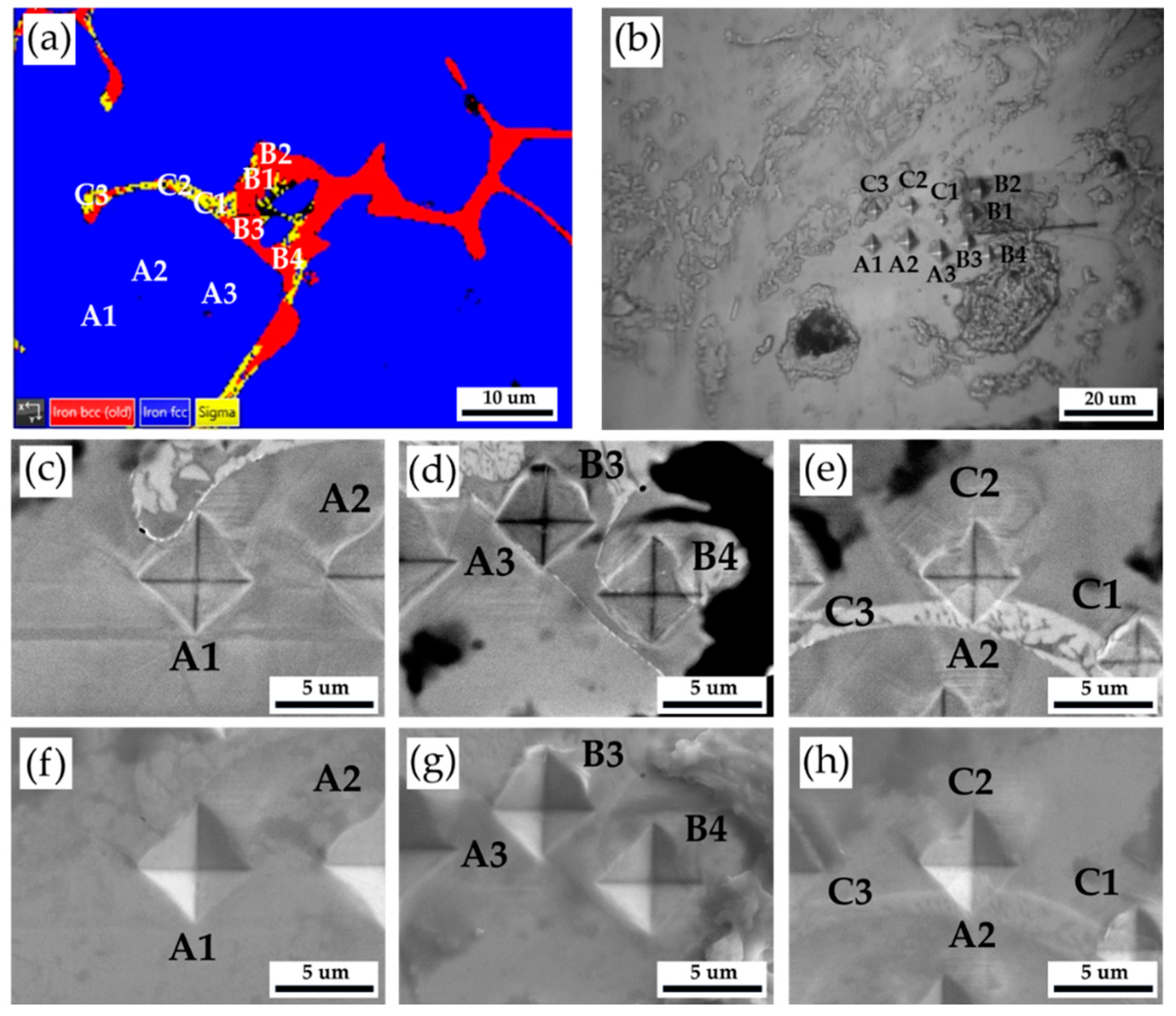 Preprints 88982 g004