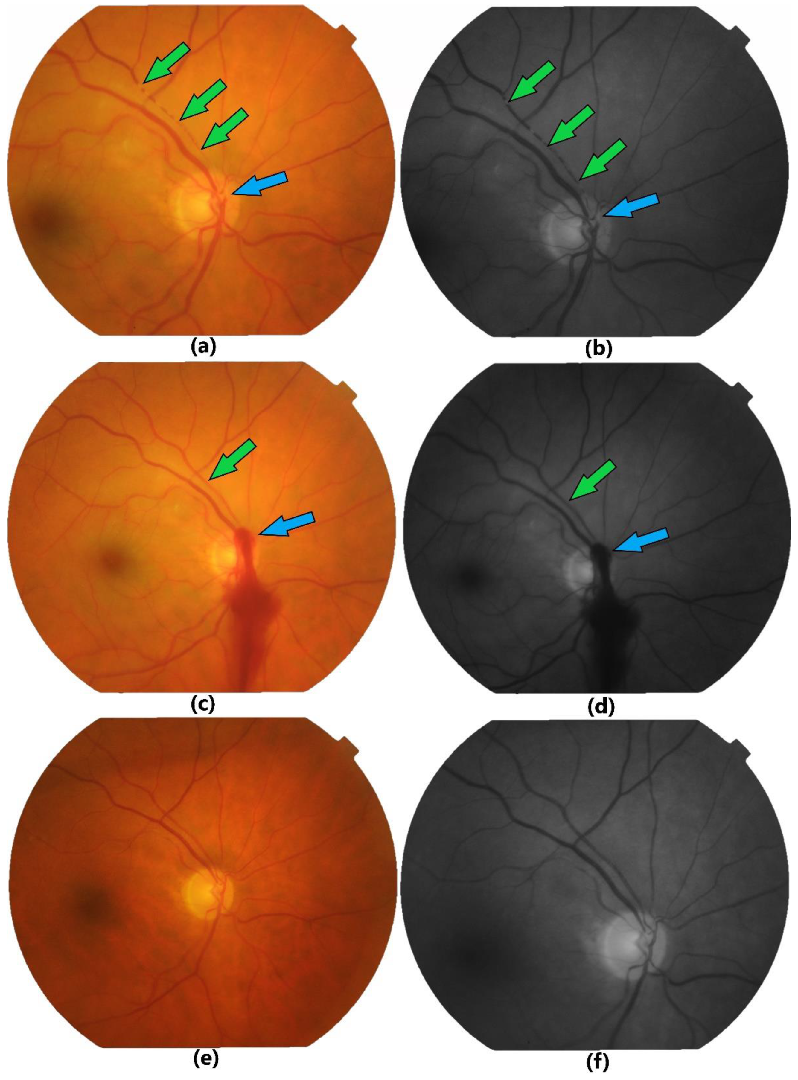 Preprints 121369 g002
