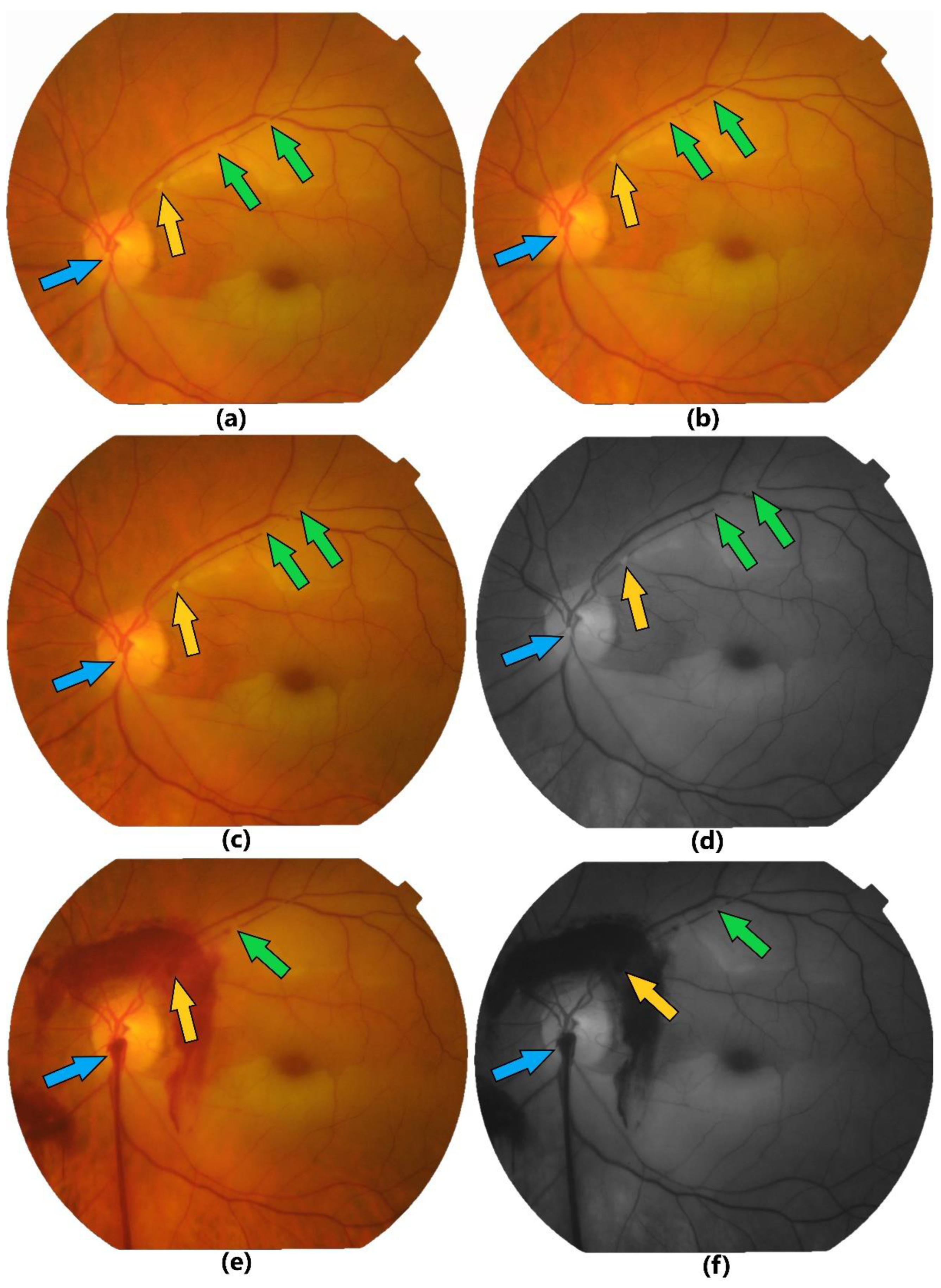 Preprints 121369 g003
