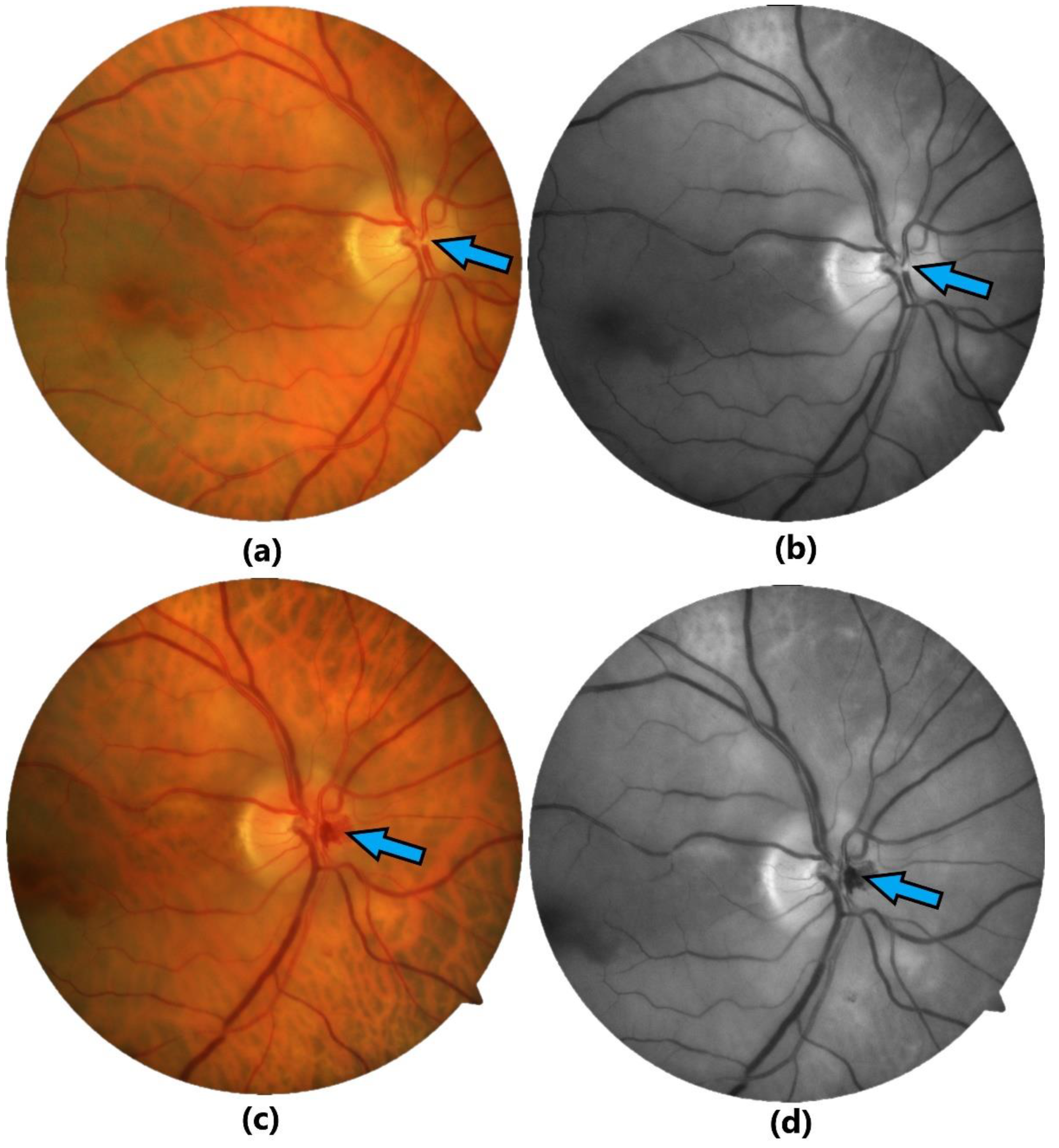 Preprints 121369 g004
