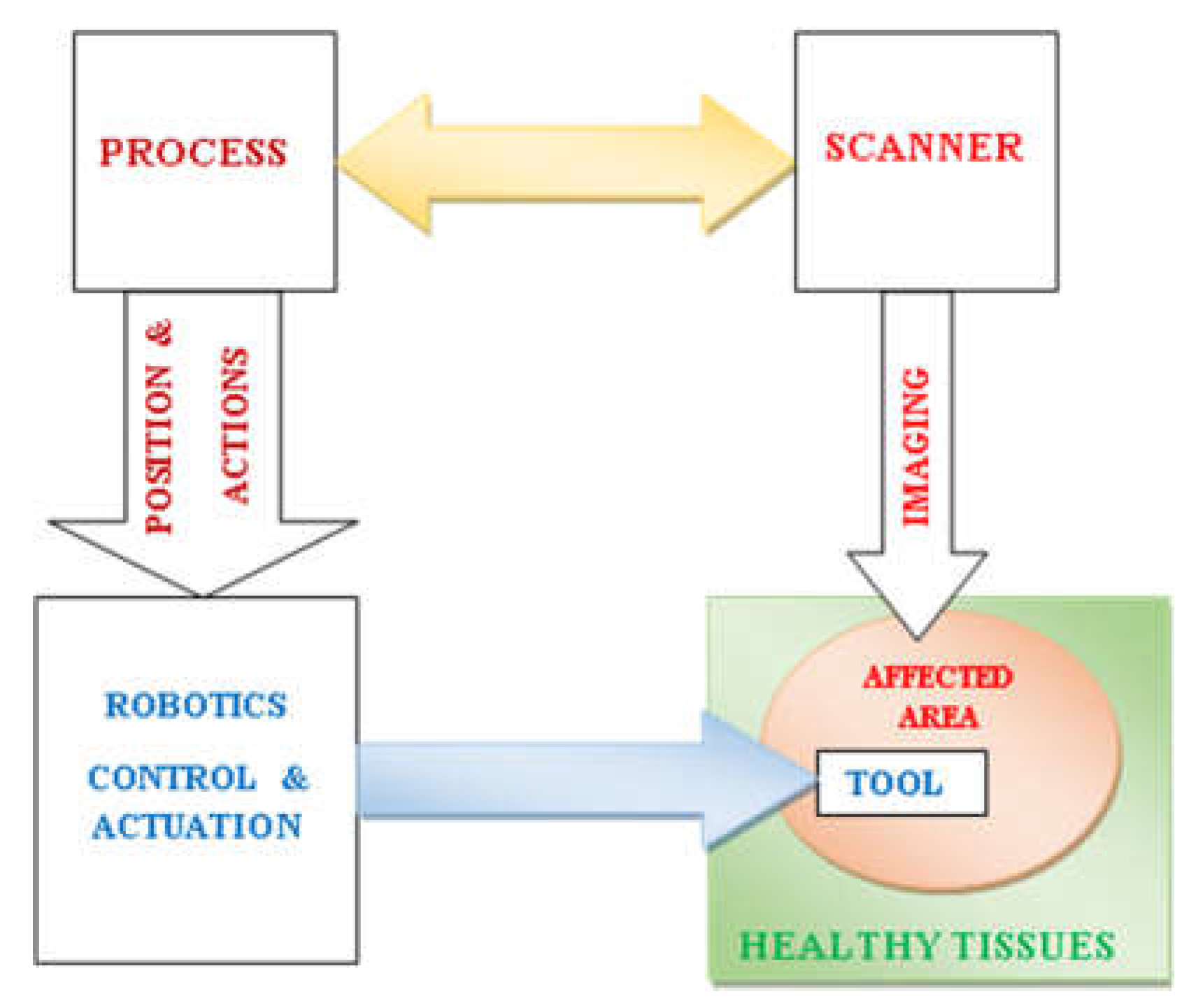 Preprints 151496 g001