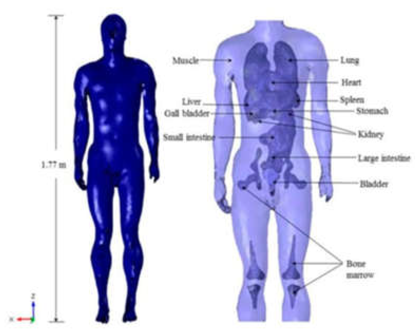 Preprints 151496 g004