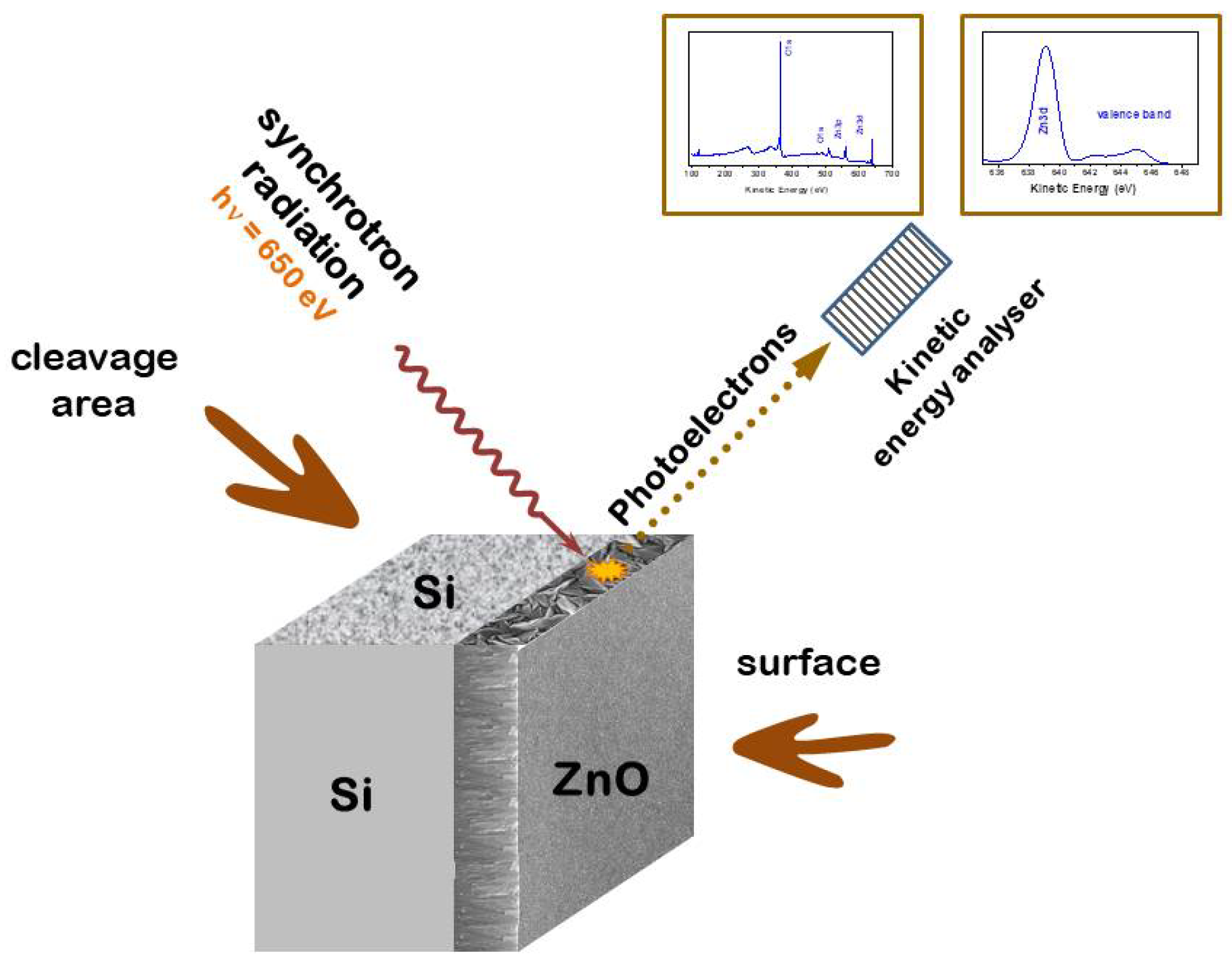 Preprints 141774 g001