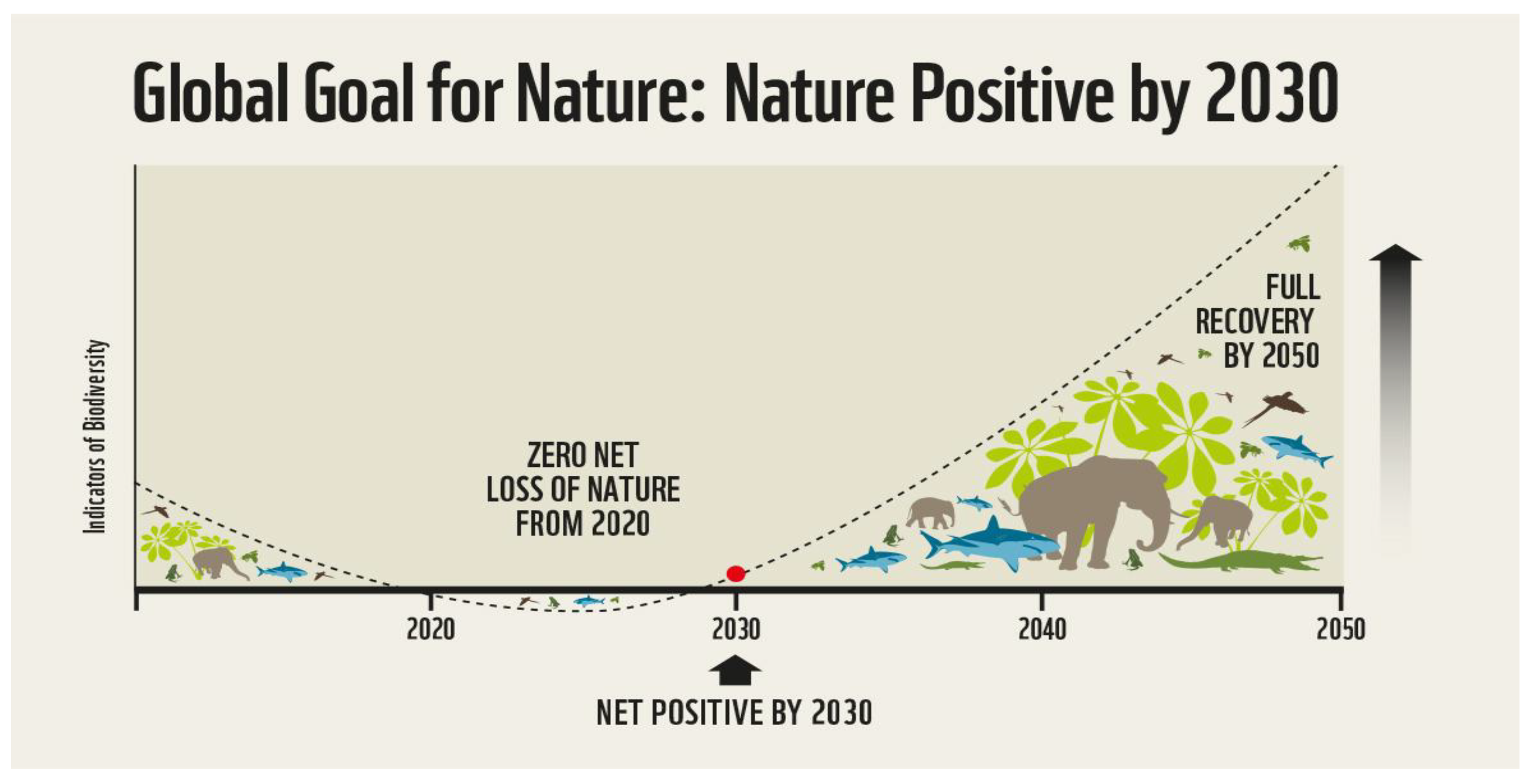 Preprints 153636 g002