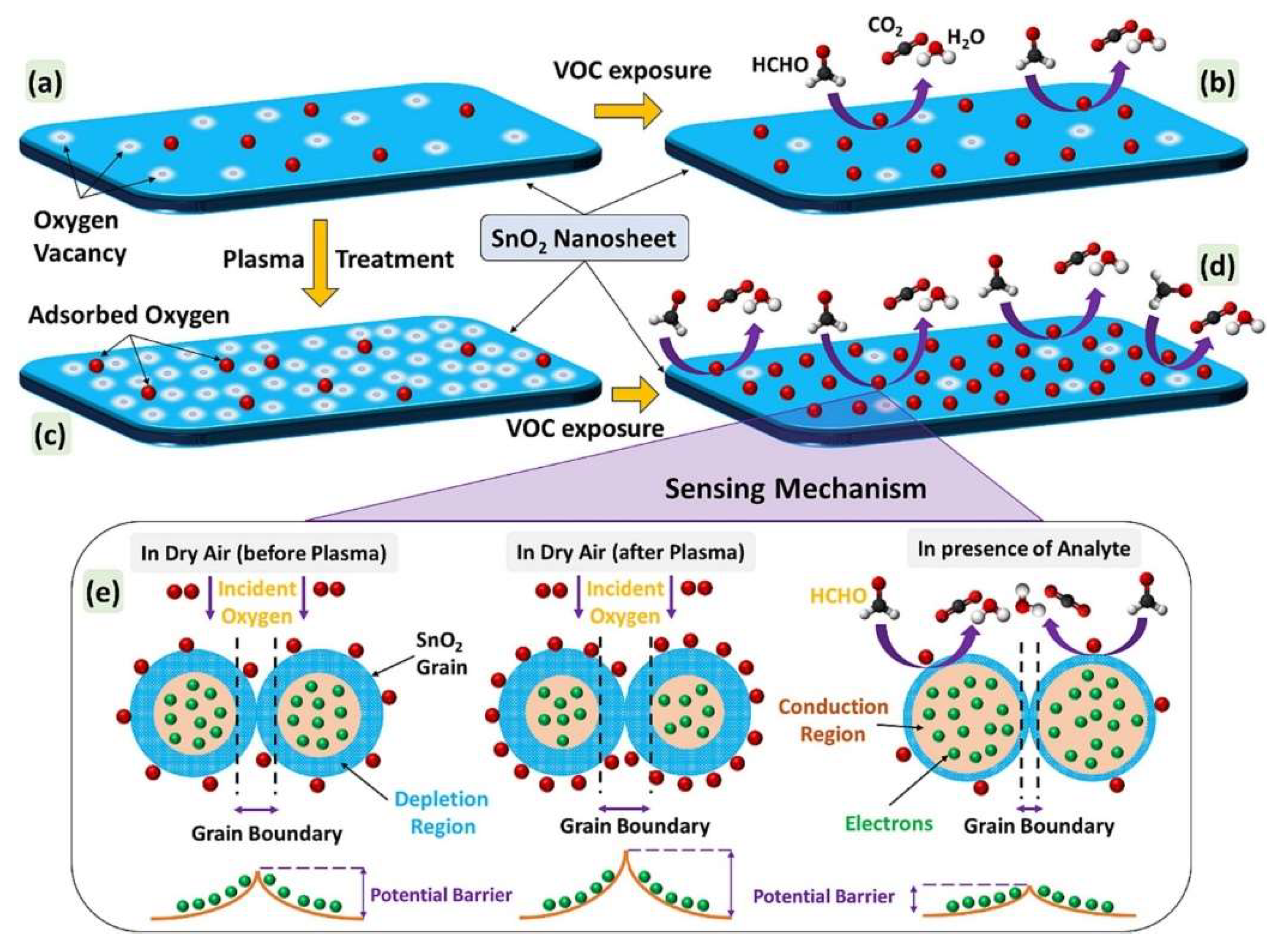 Preprints 152607 g006