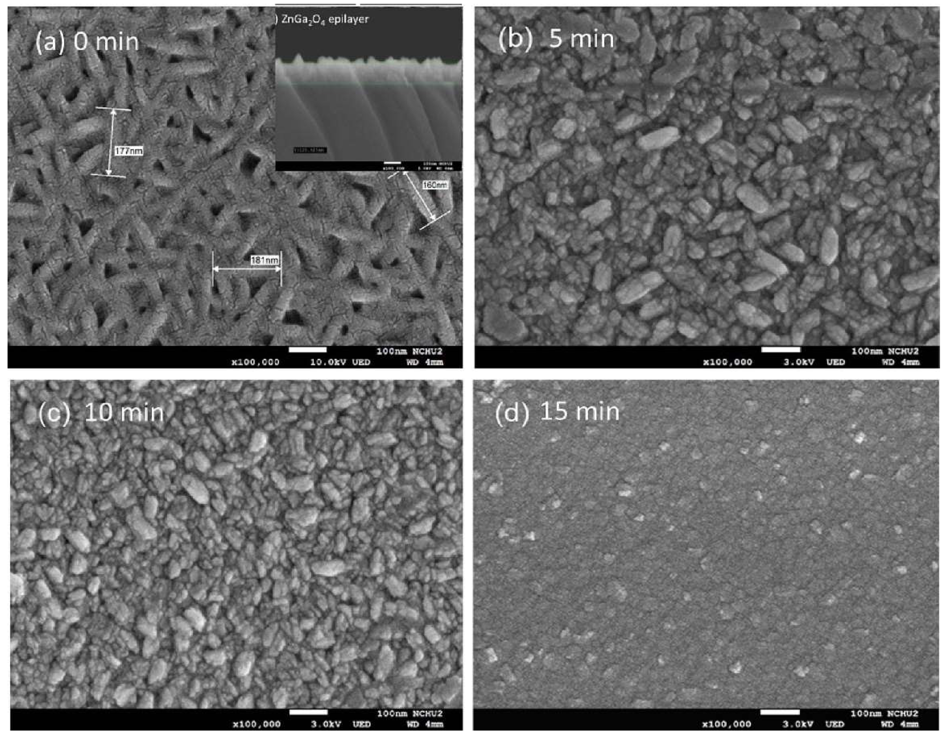 Preprints 152607 g009