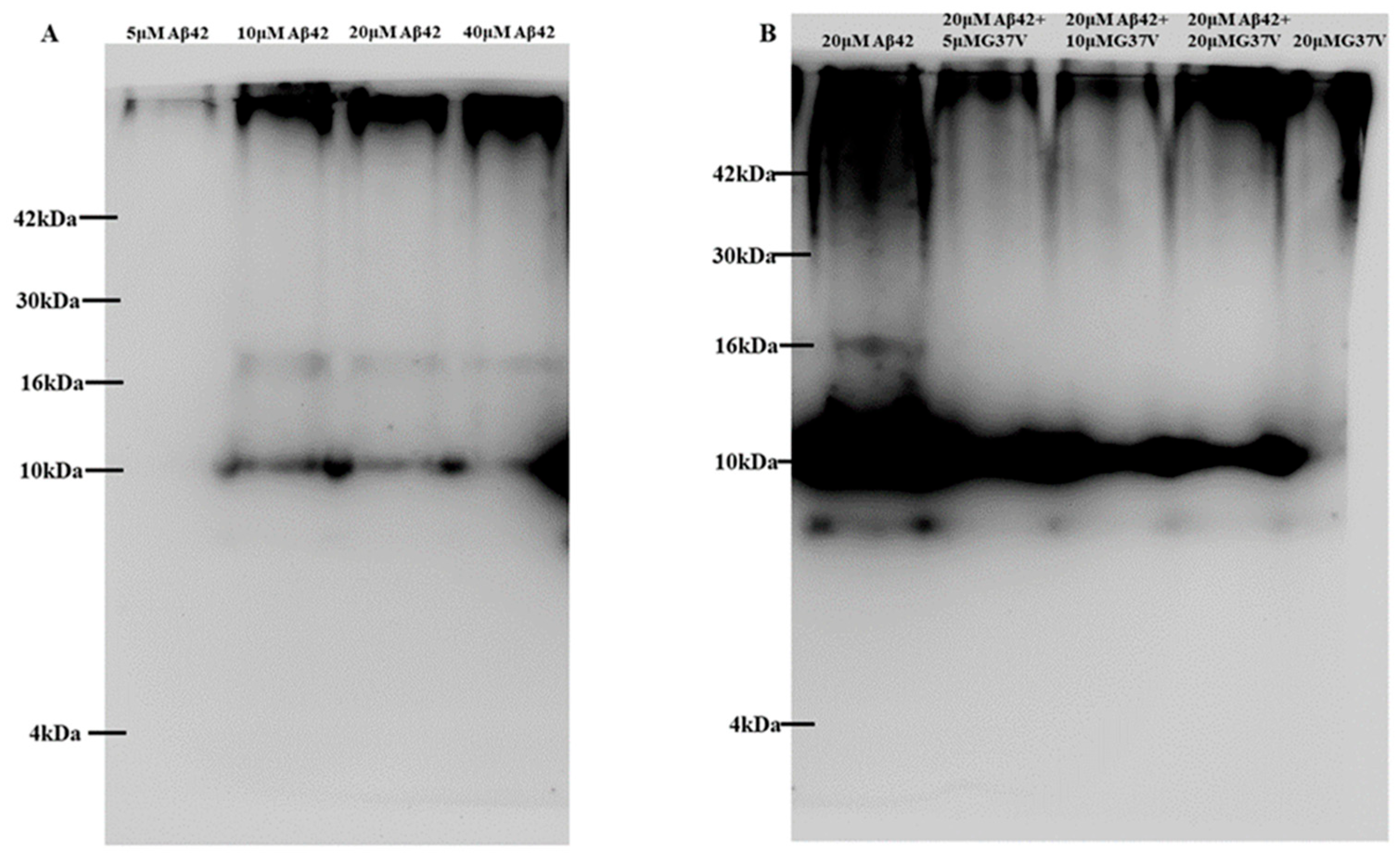 Preprints 139471 g002