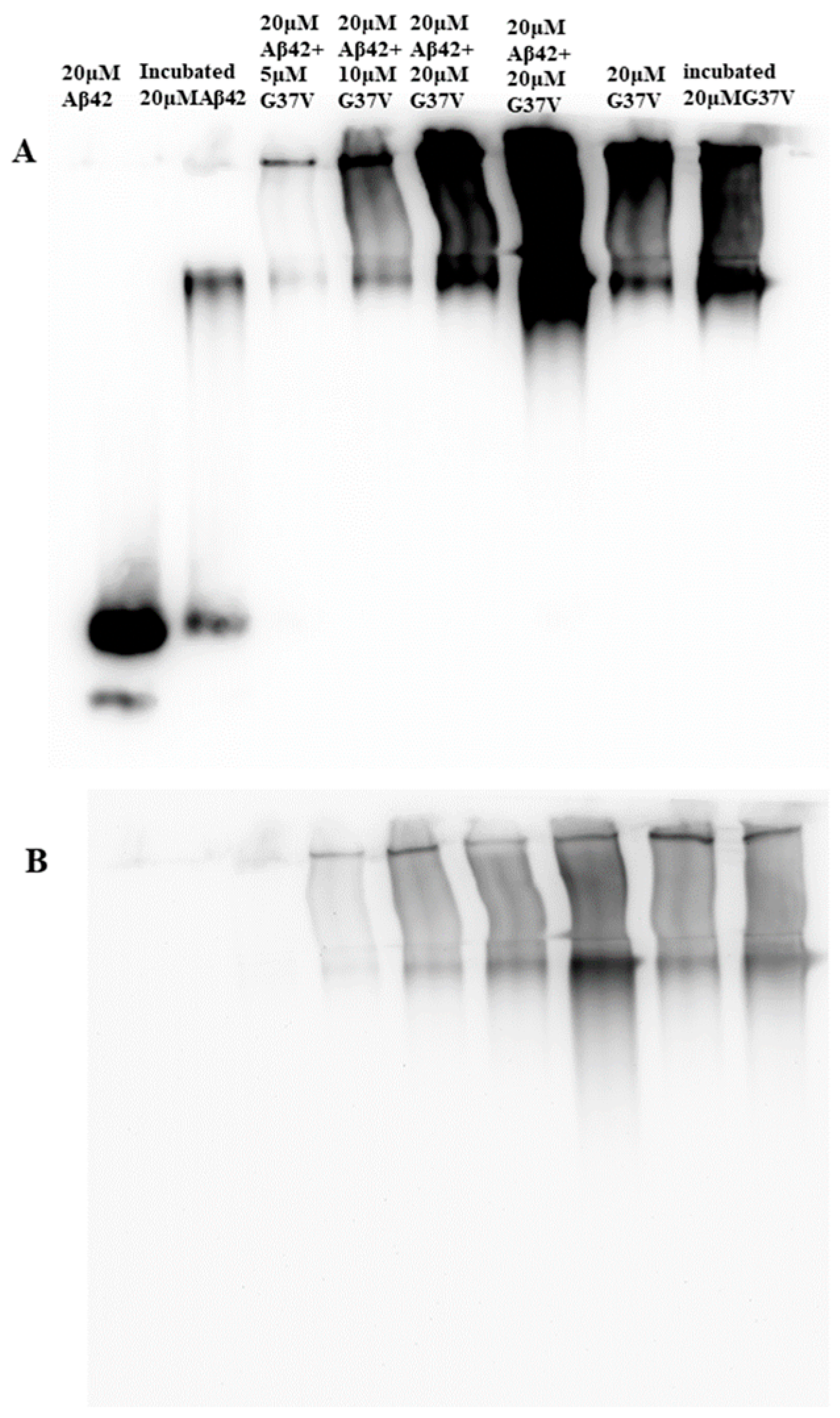 Preprints 139471 g003