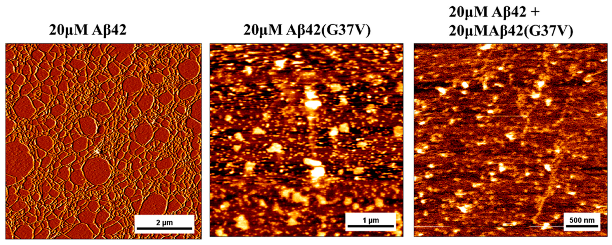 Preprints 139471 g004