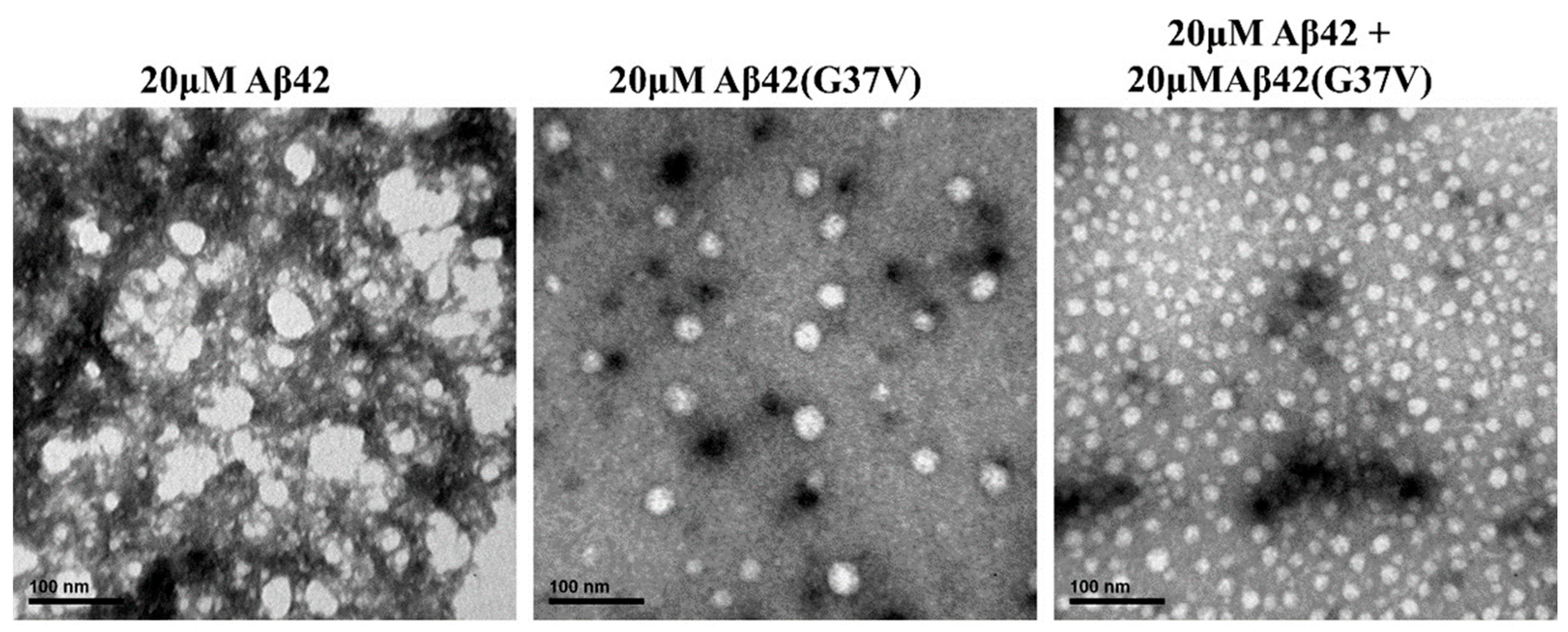 Preprints 139471 g005
