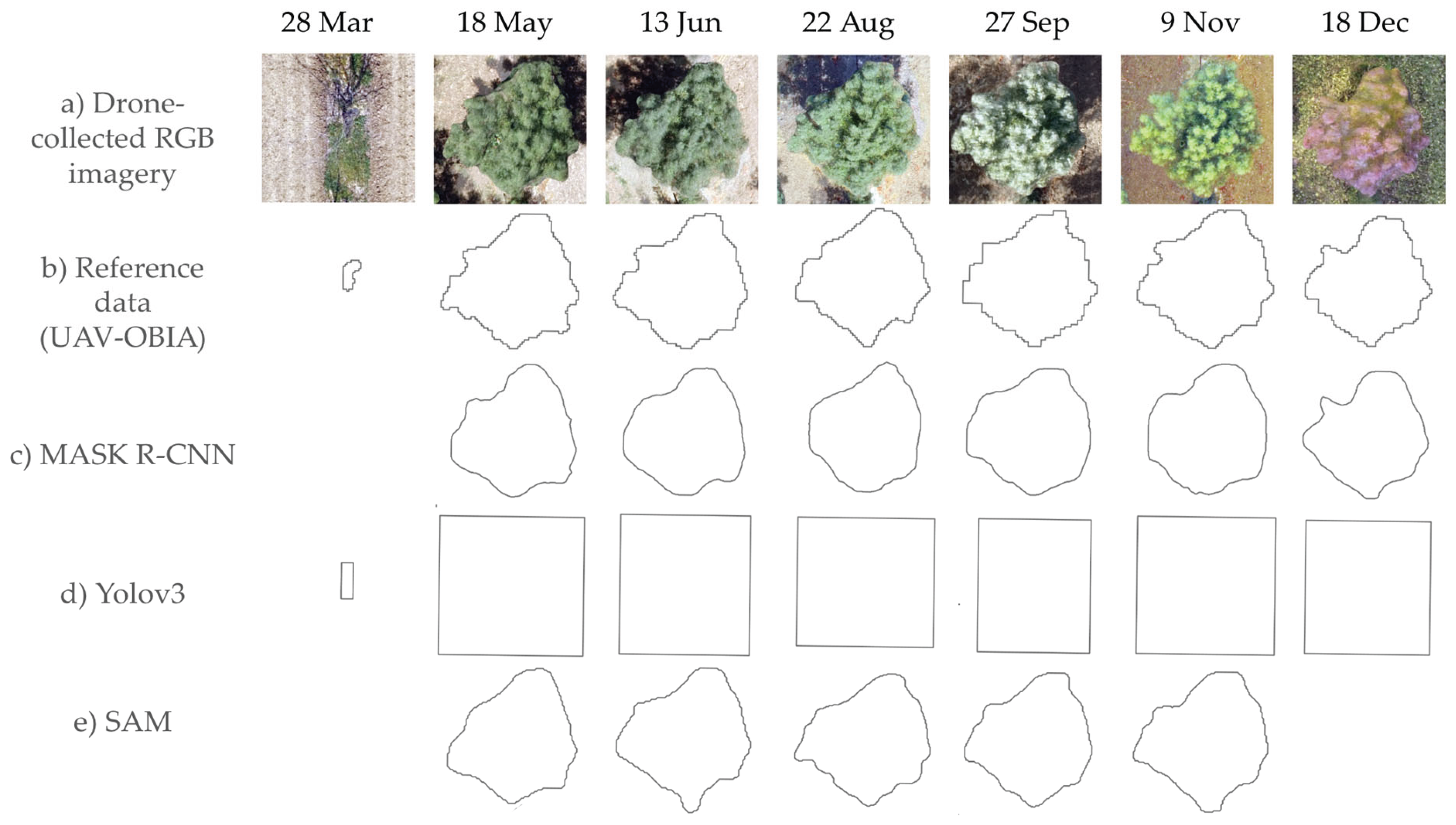 Preprints 163587 g006