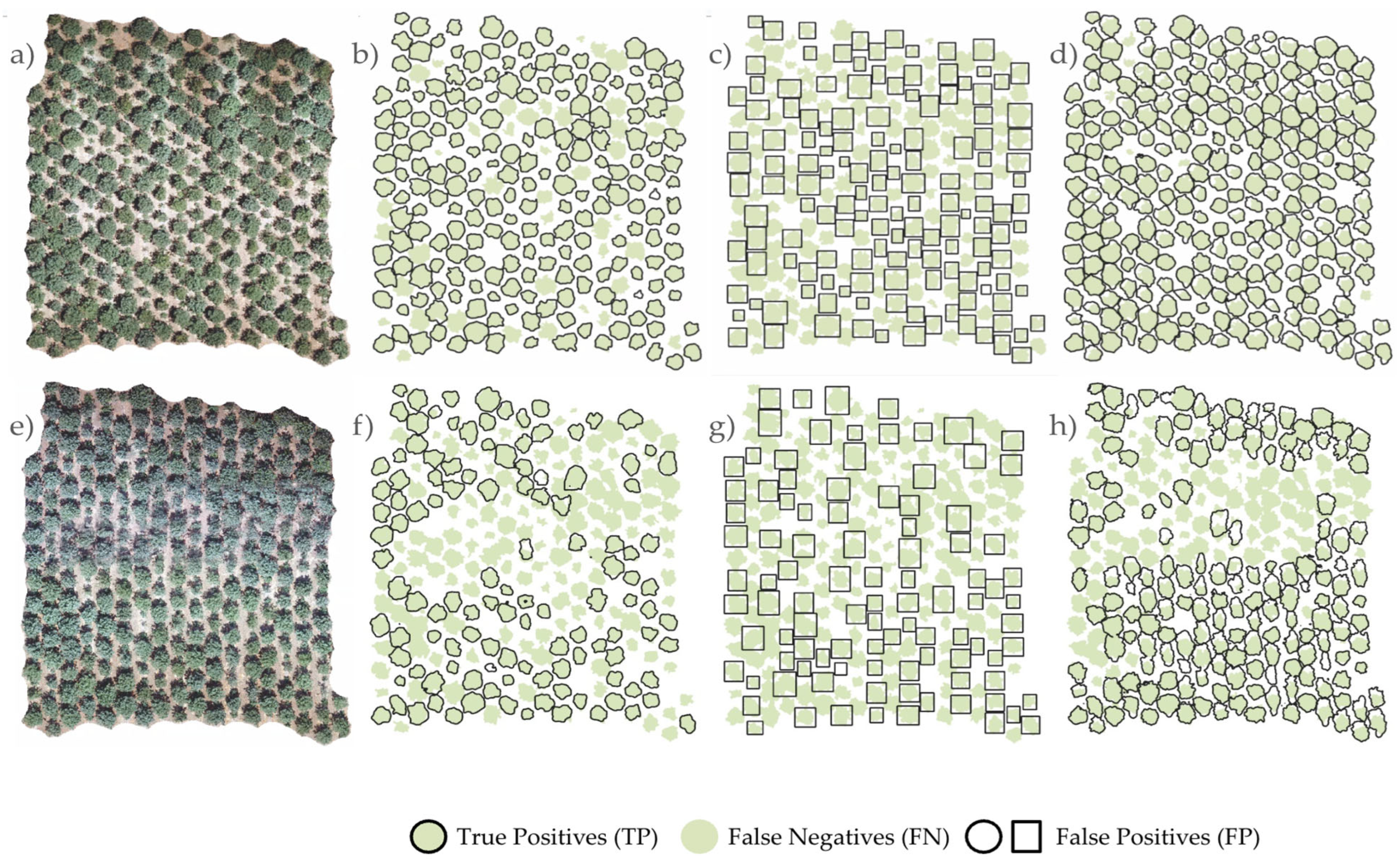 Preprints 163587 g007