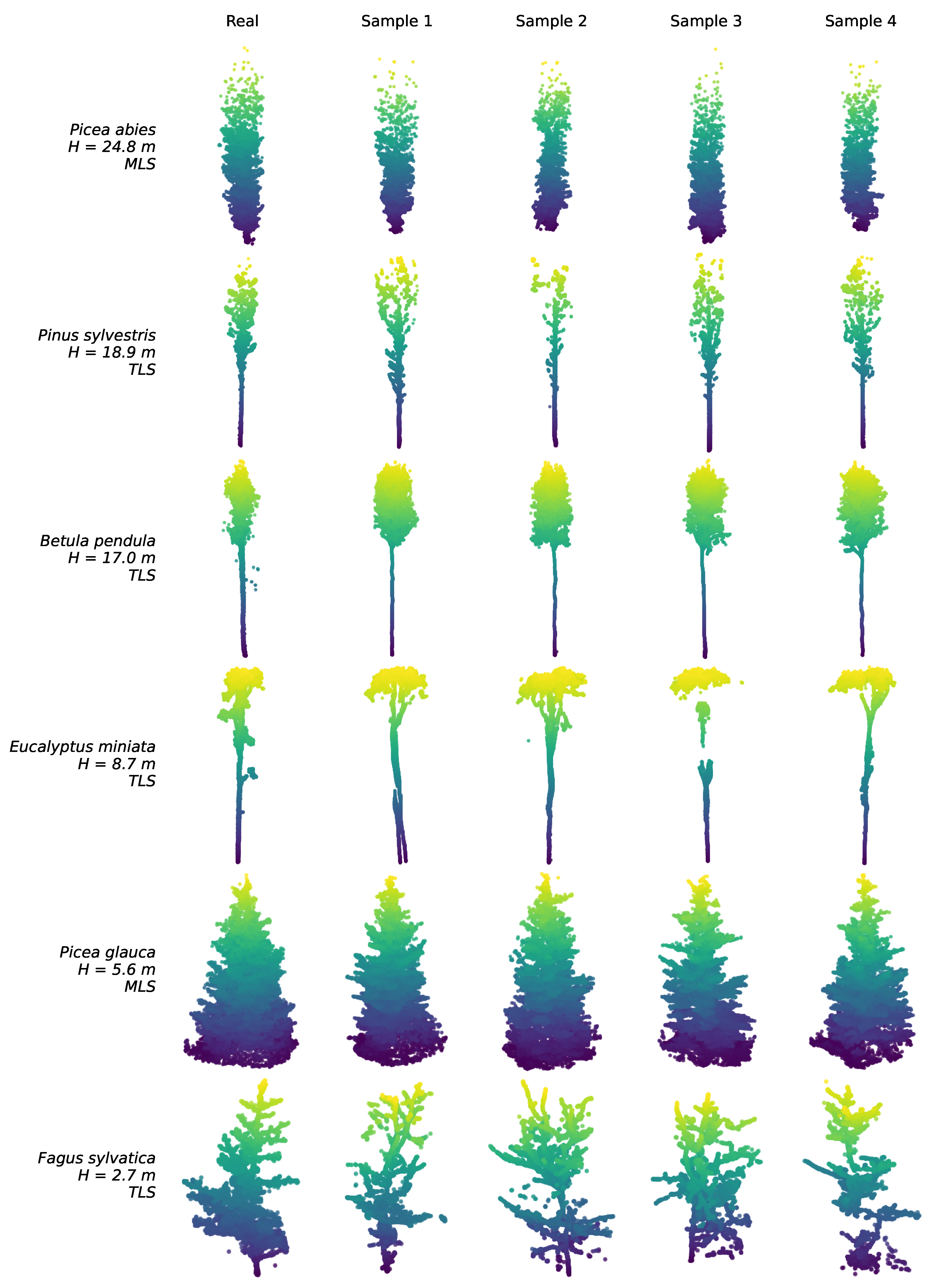 TreeFlow: Conditional Flow Matching for 3D Tree Point Cloud Generation ...