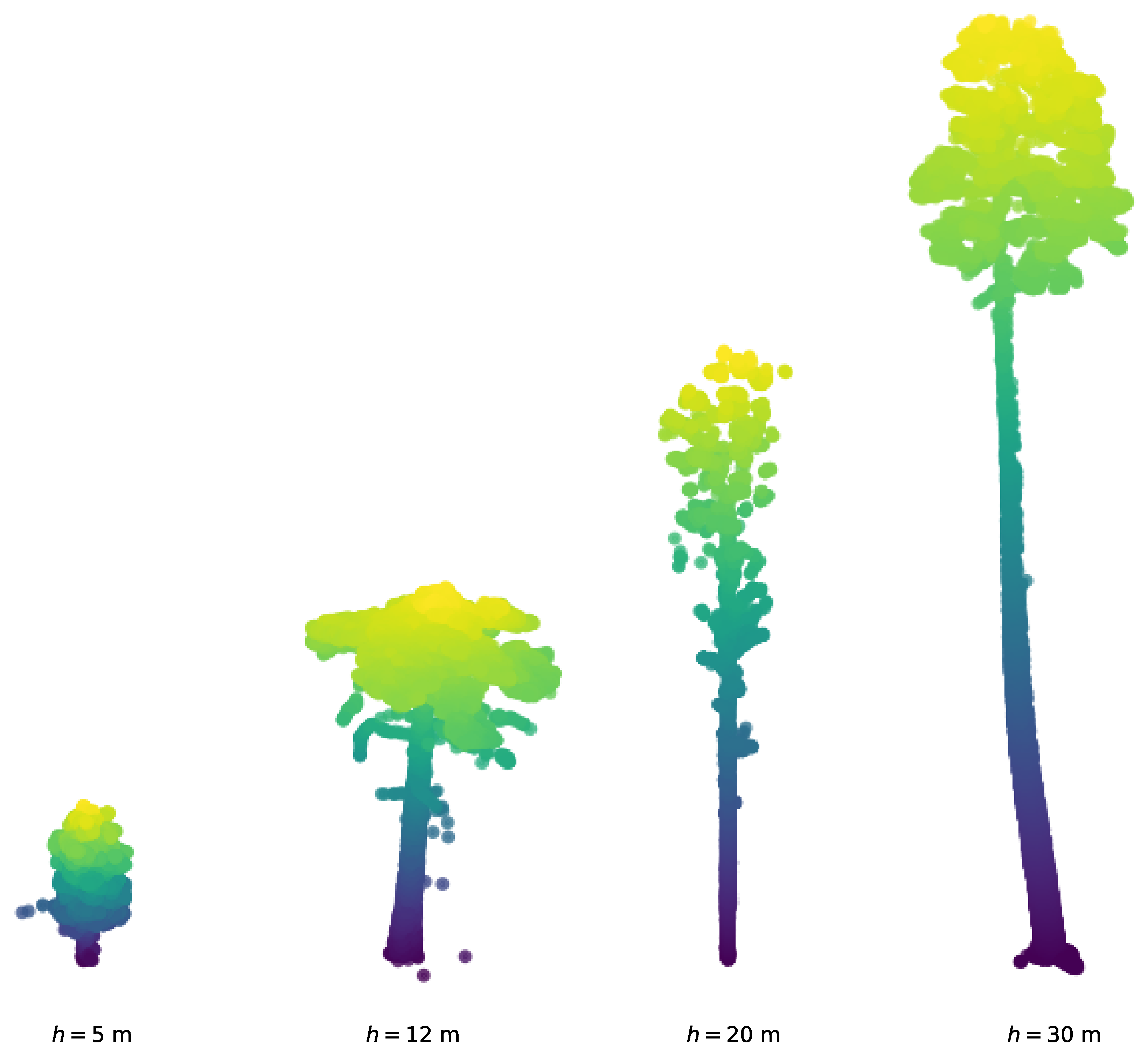 TreeFlow: Conditional Flow Matching for 3D Tree Point Cloud Generation ...