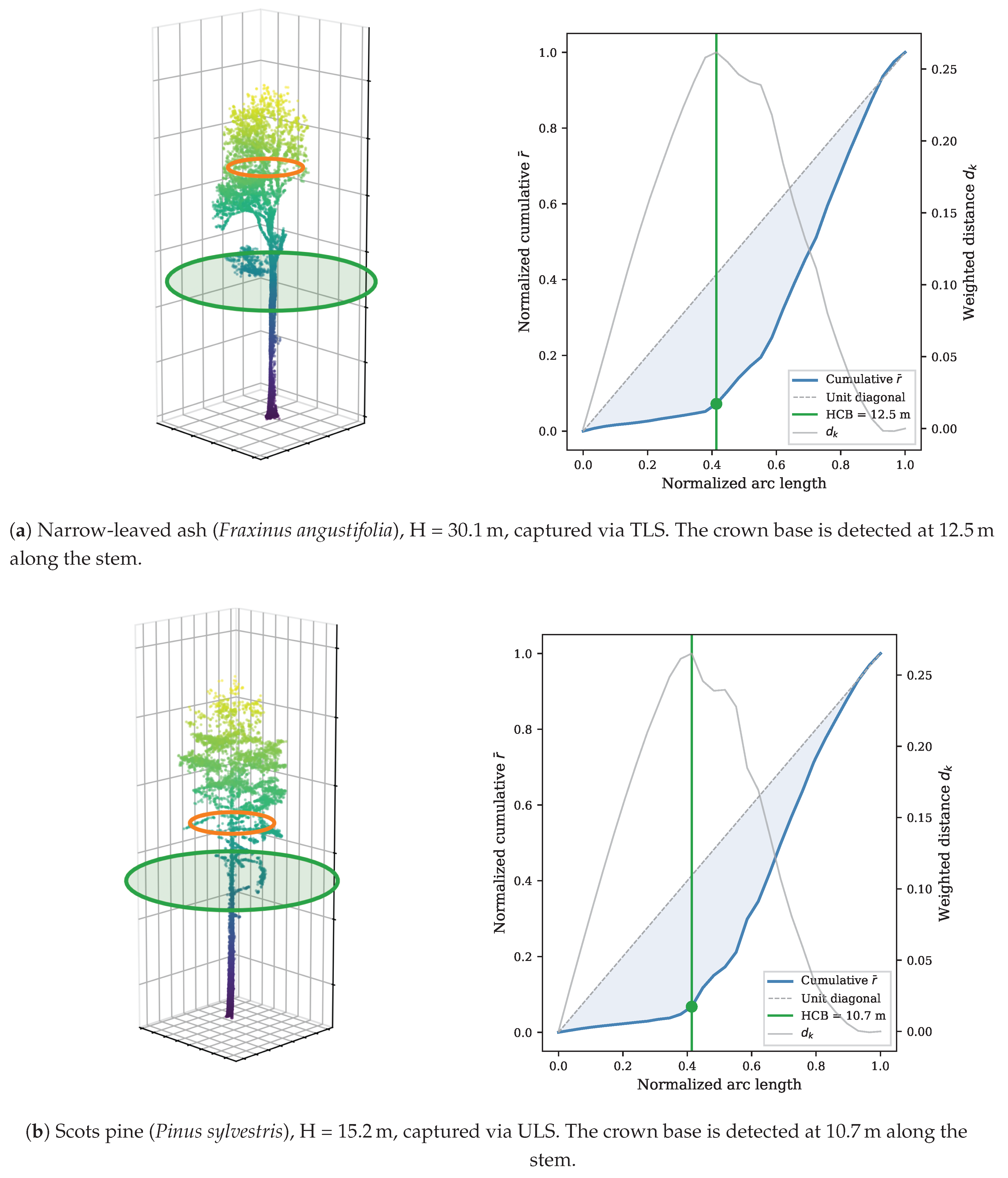 TreeFlow: Conditional Flow Matching for 3D Tree Point Cloud Generation ...