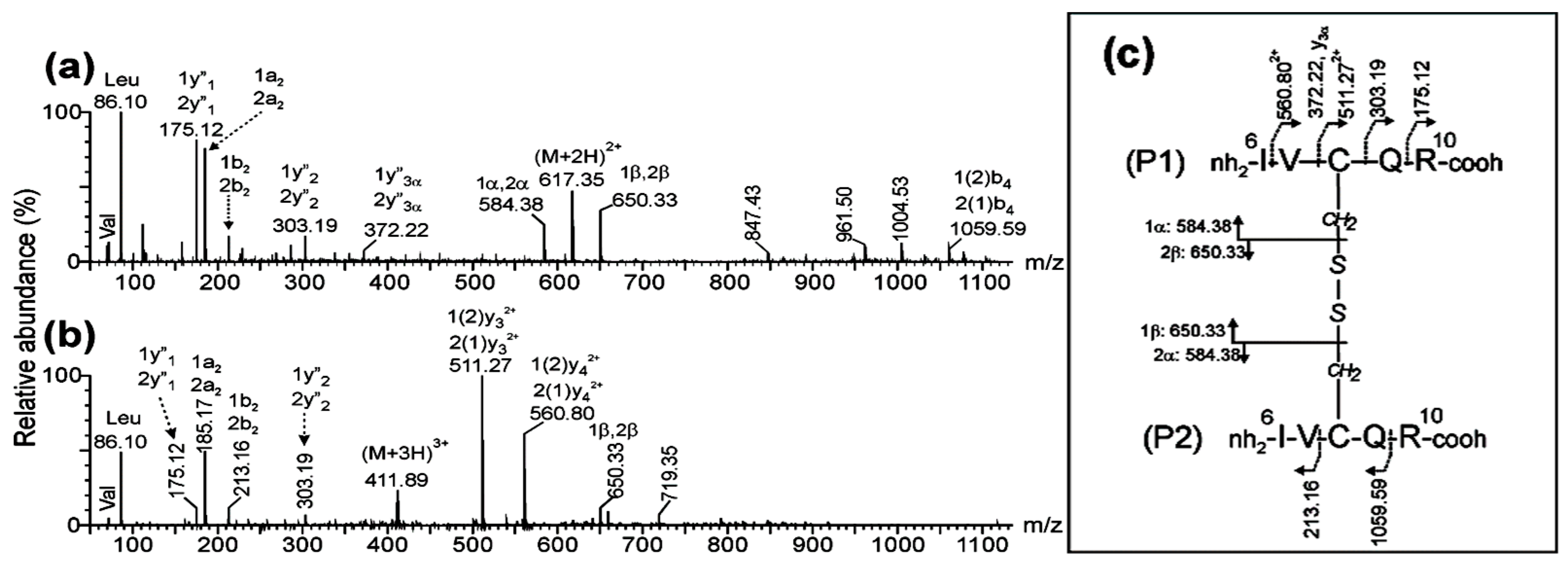 Preprints 144734 g003