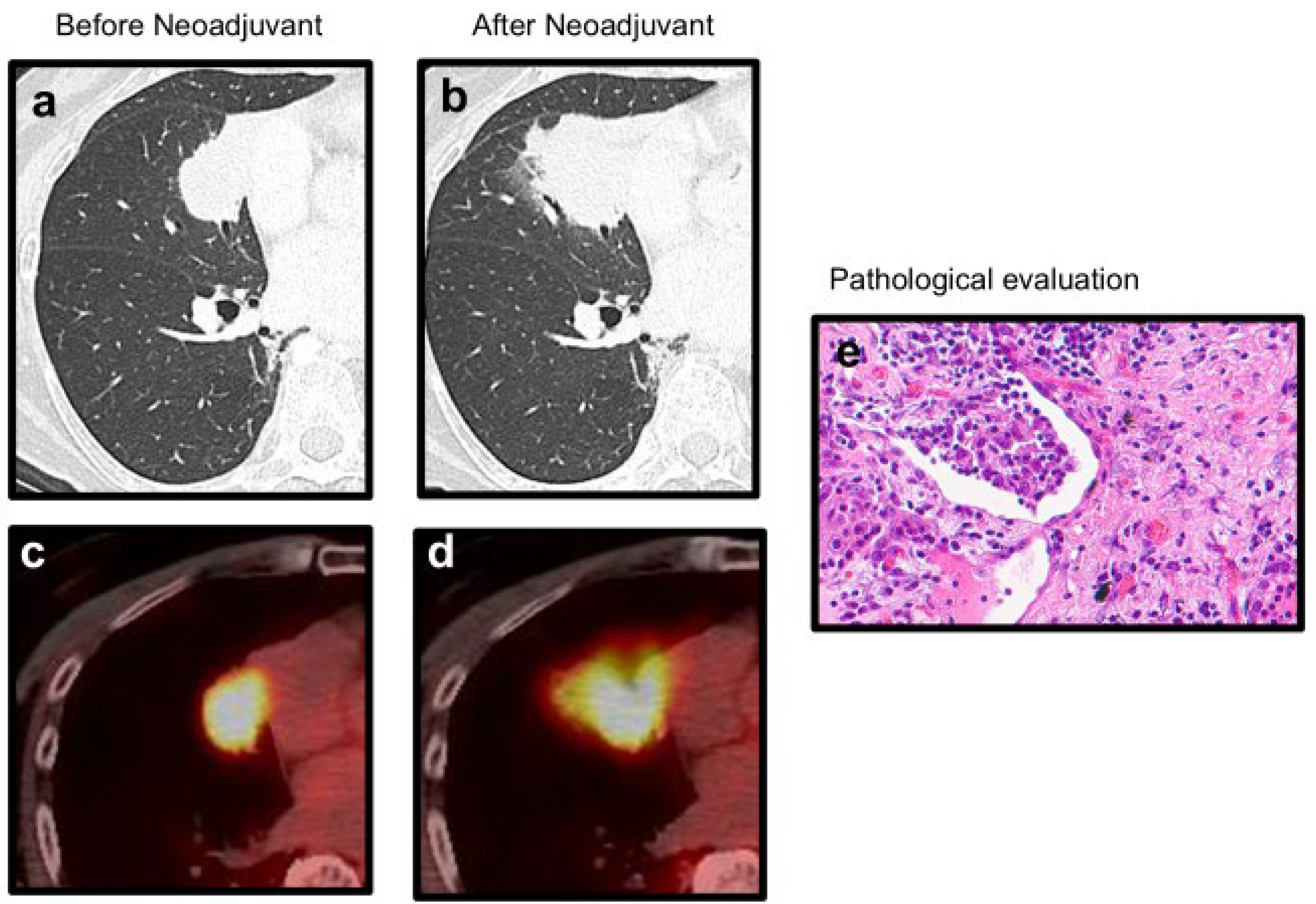 Preprints 170444 g003