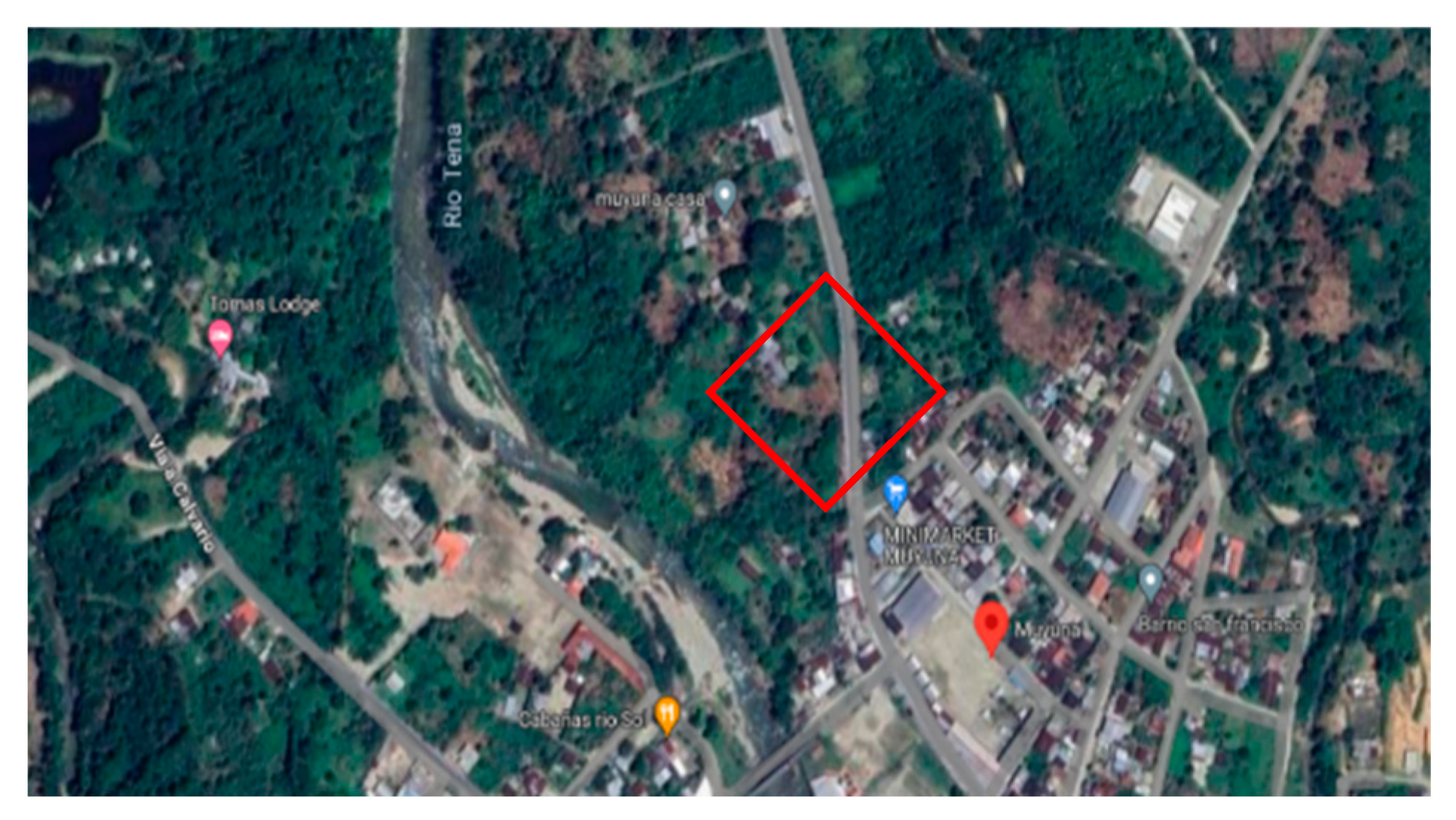 Preprints 159564 g007