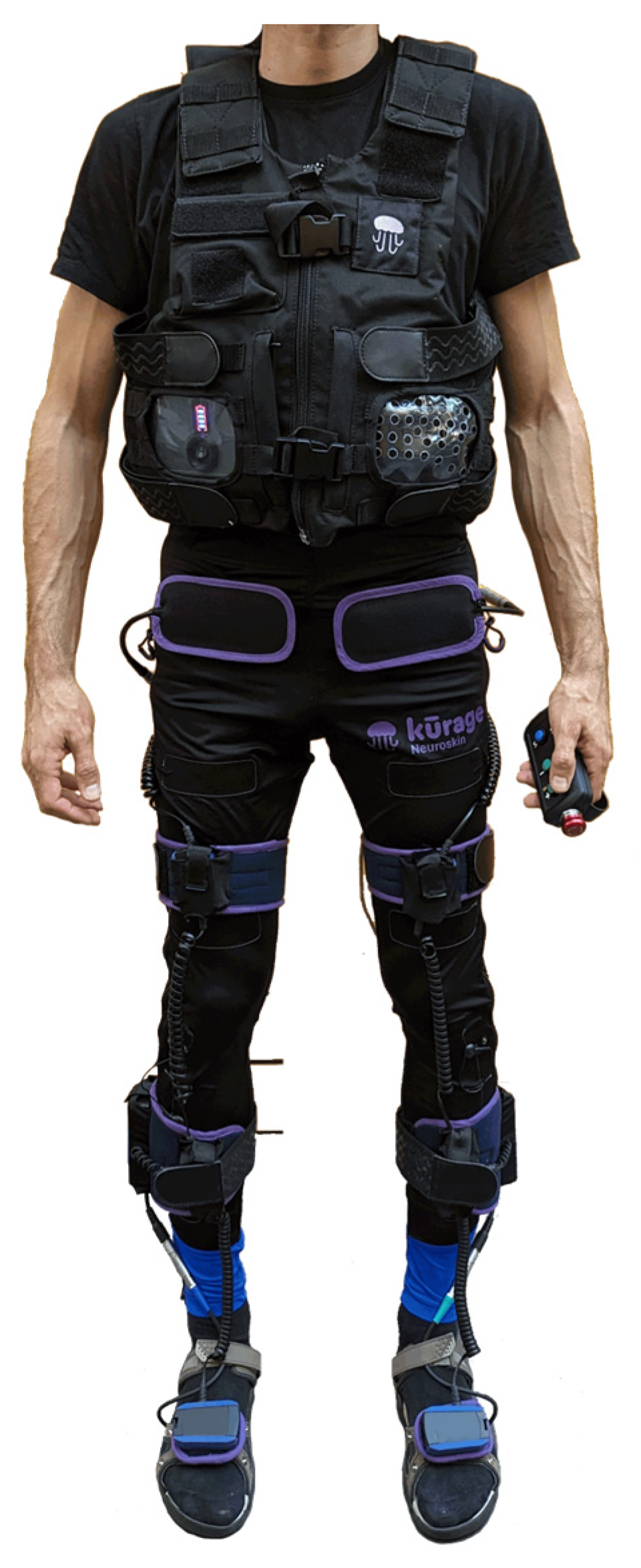 Preprints 169772 g002