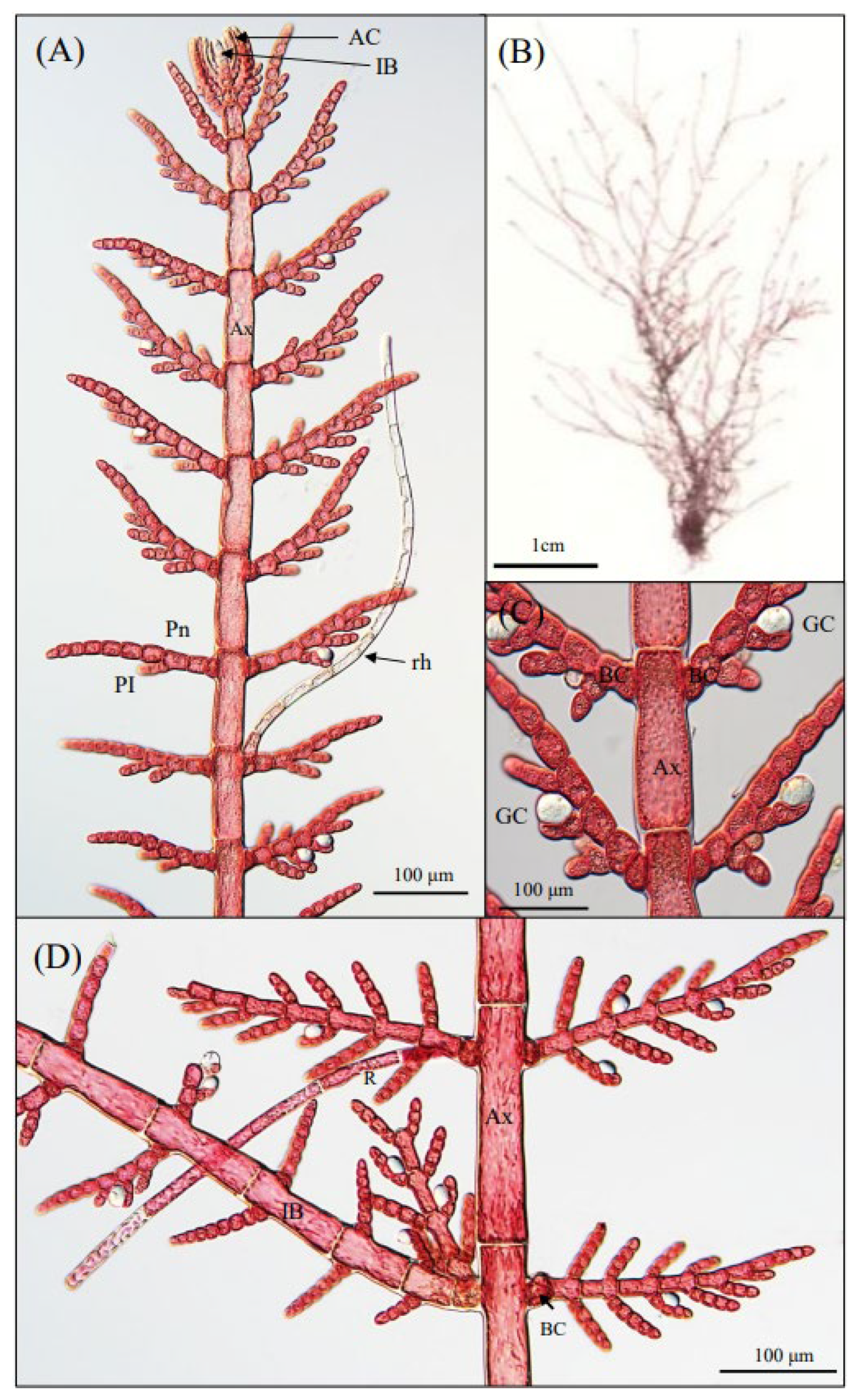 Preprints 173972 g001