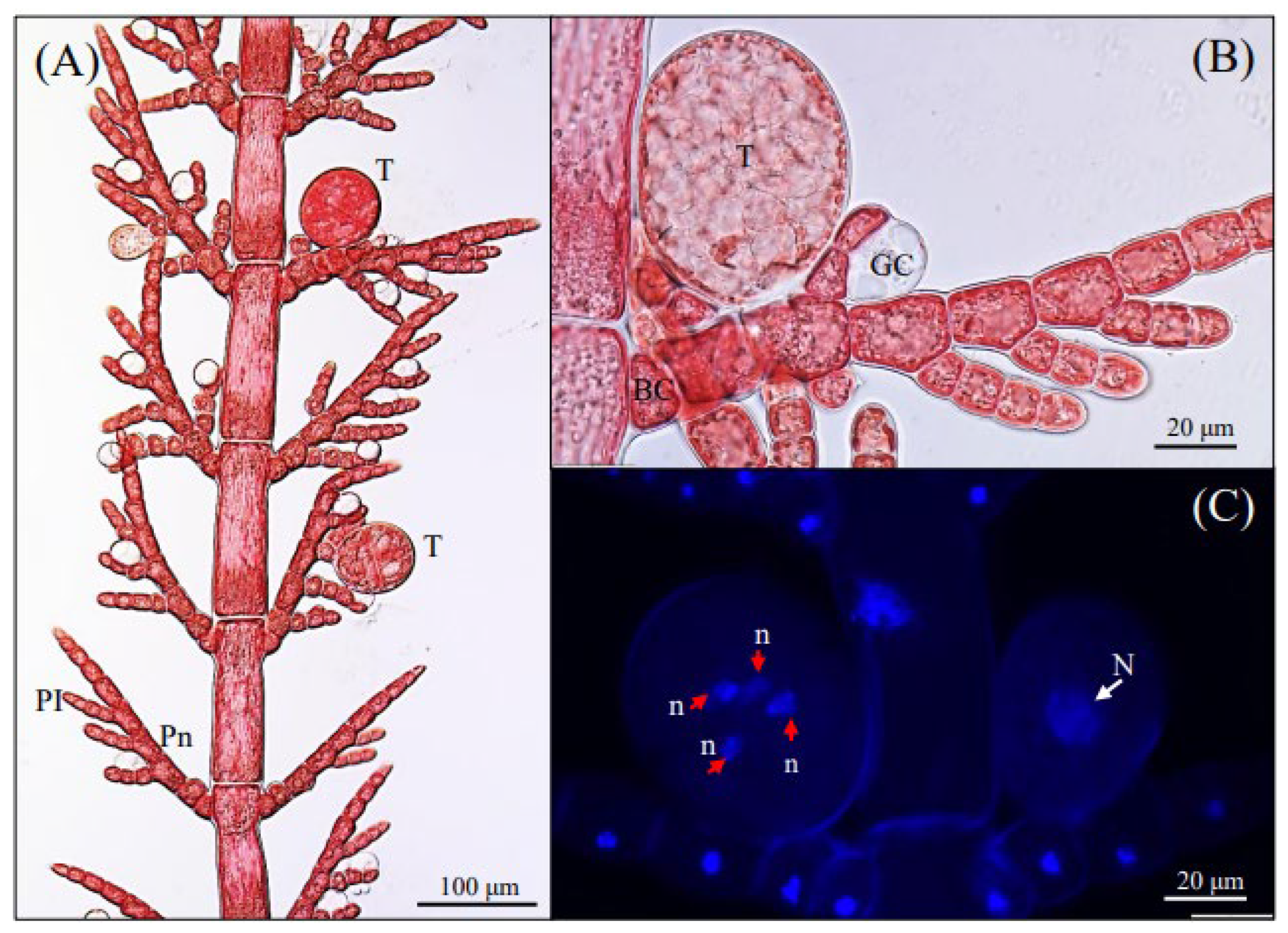 Preprints 173972 g002