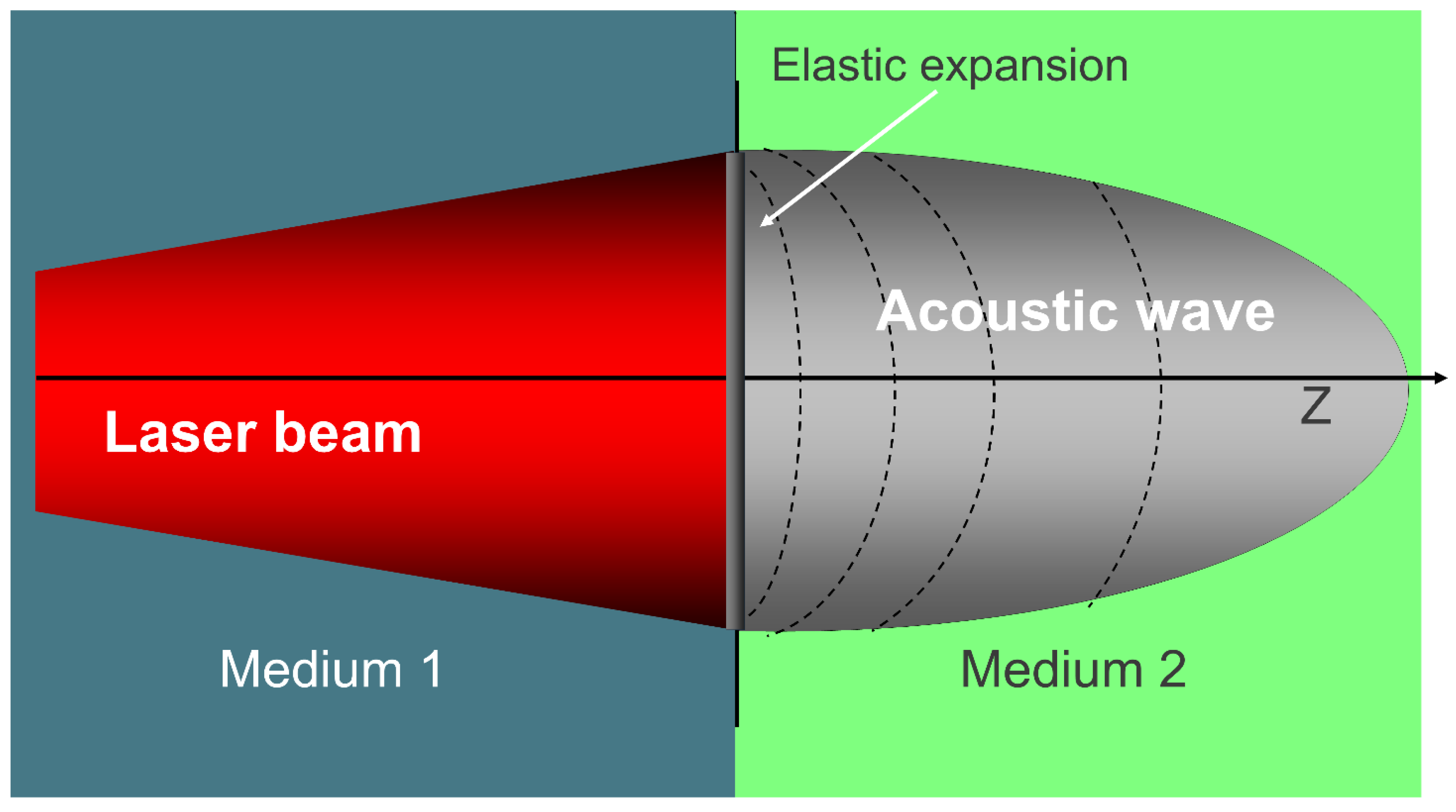 Preprints 181845 g002
