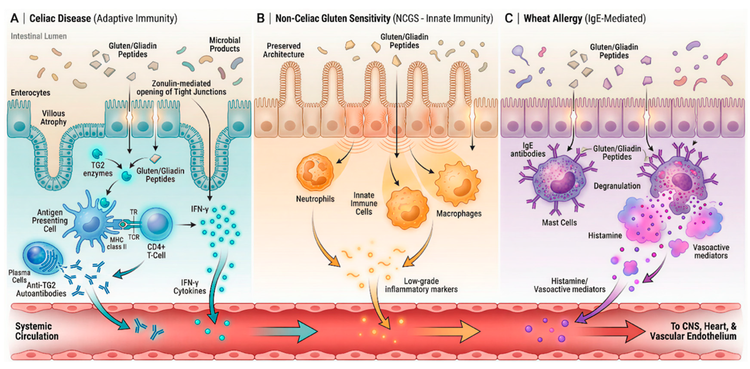 Preprints 196576 g001