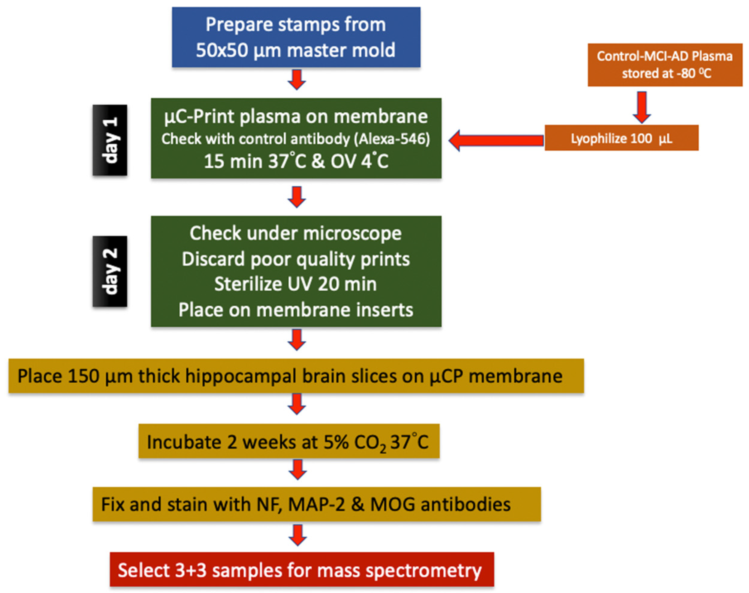 Preprints 119543 g001