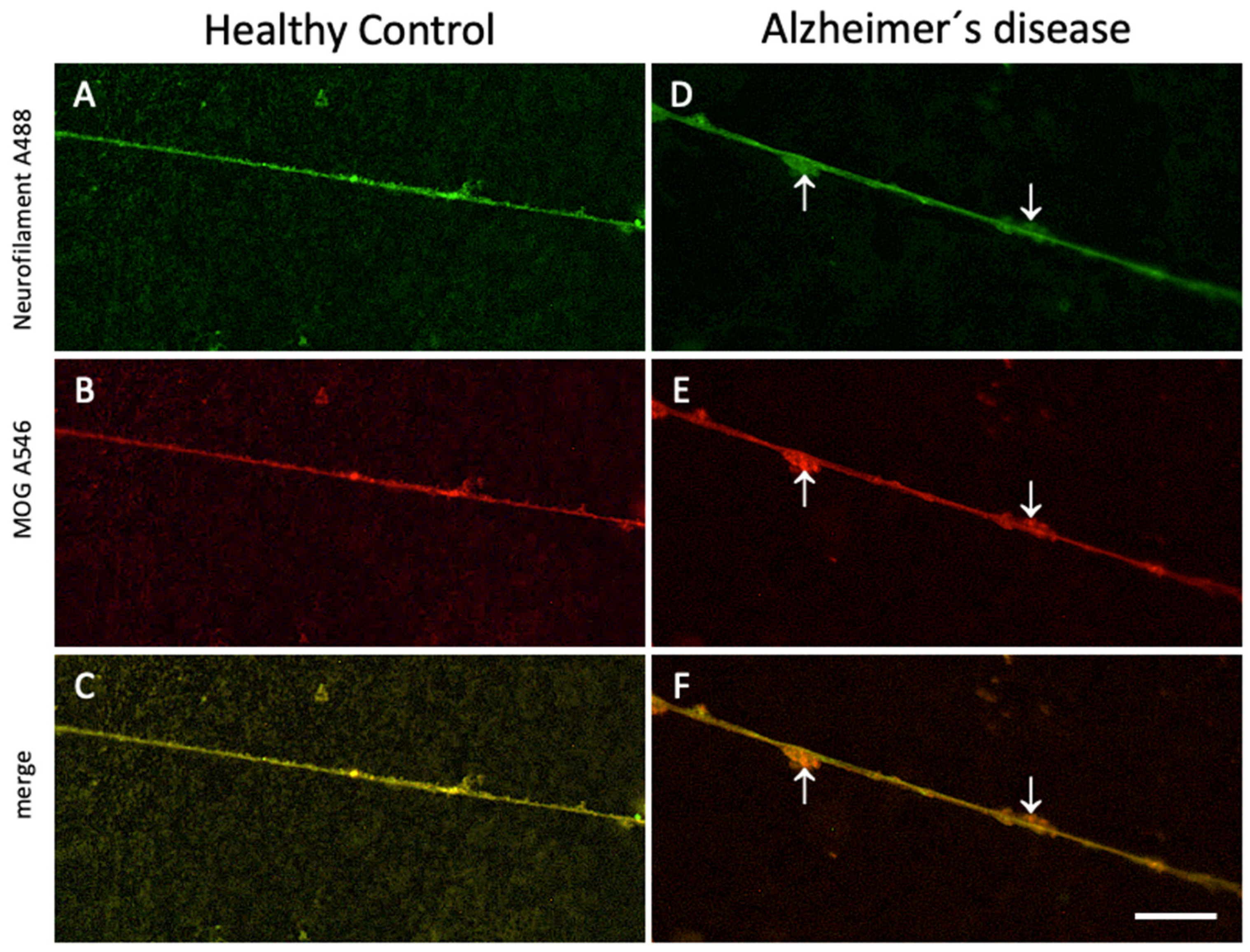 Preprints 119543 g004