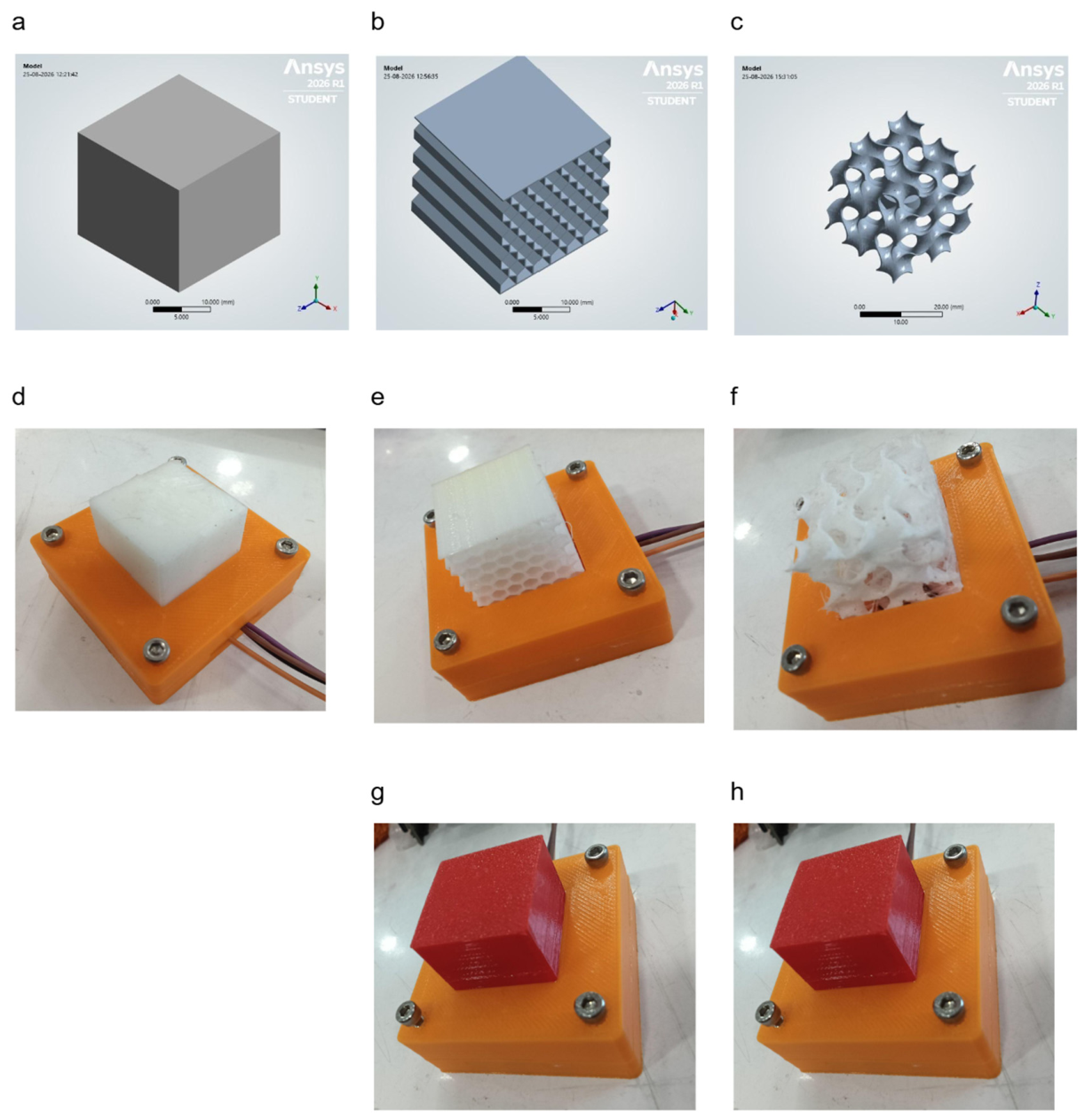 Preprints 235476 g001 Preprints 235476 g001