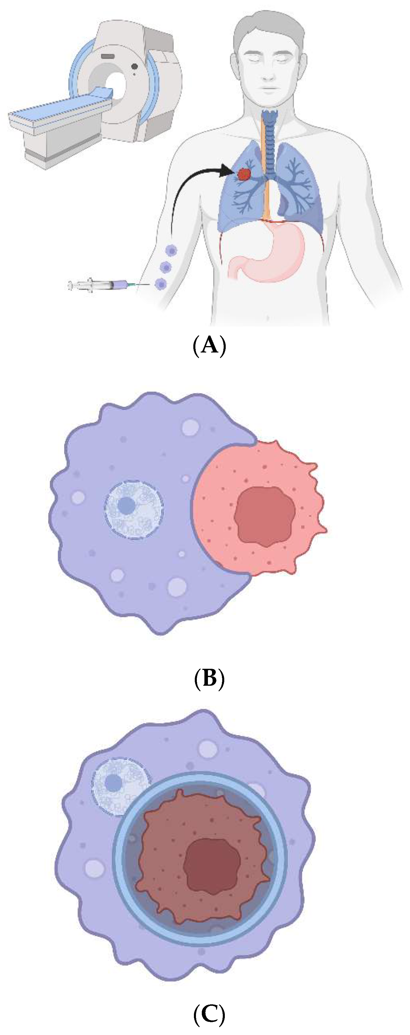 Preprints 84365 g001