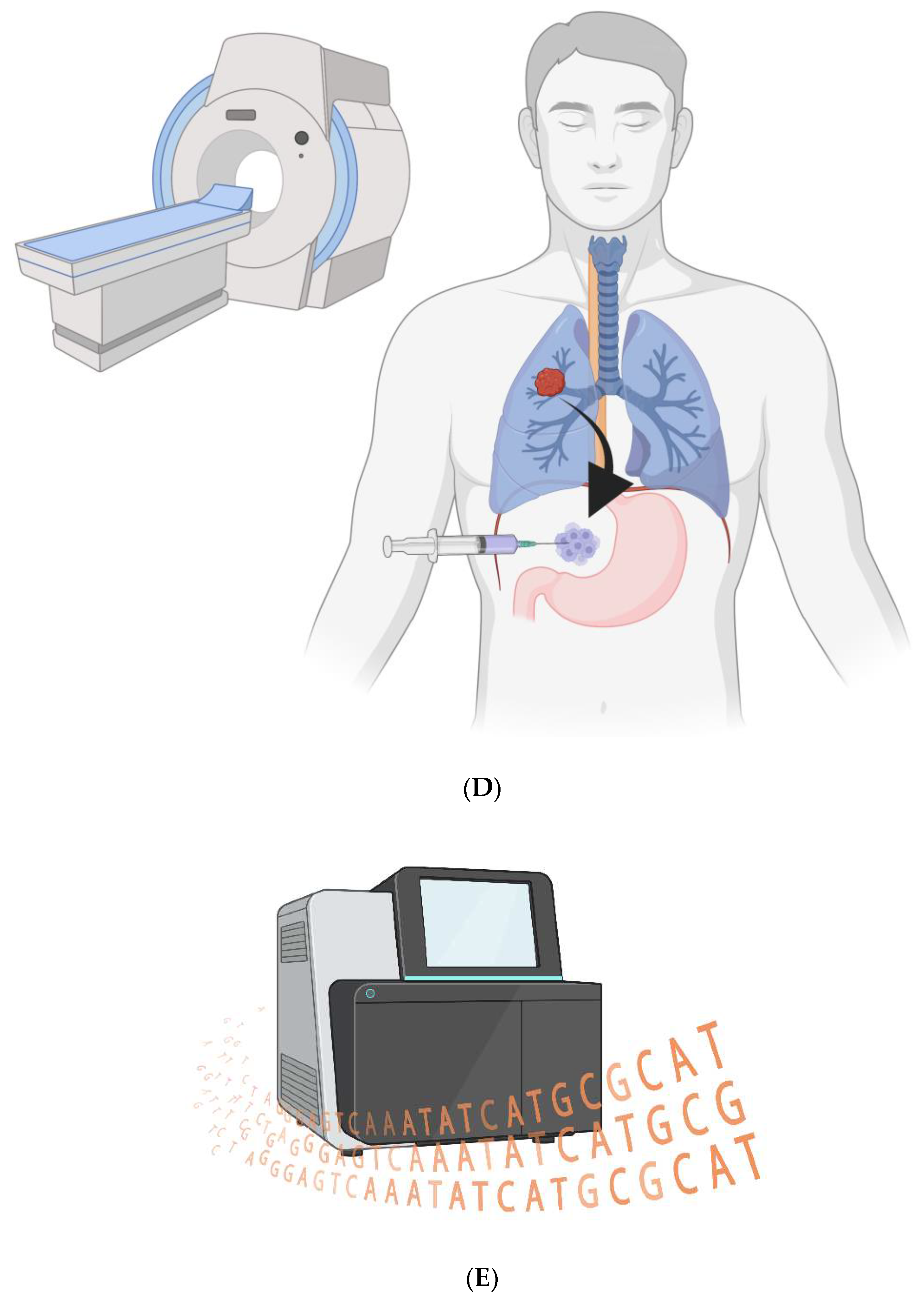 Preprints 84365 g002