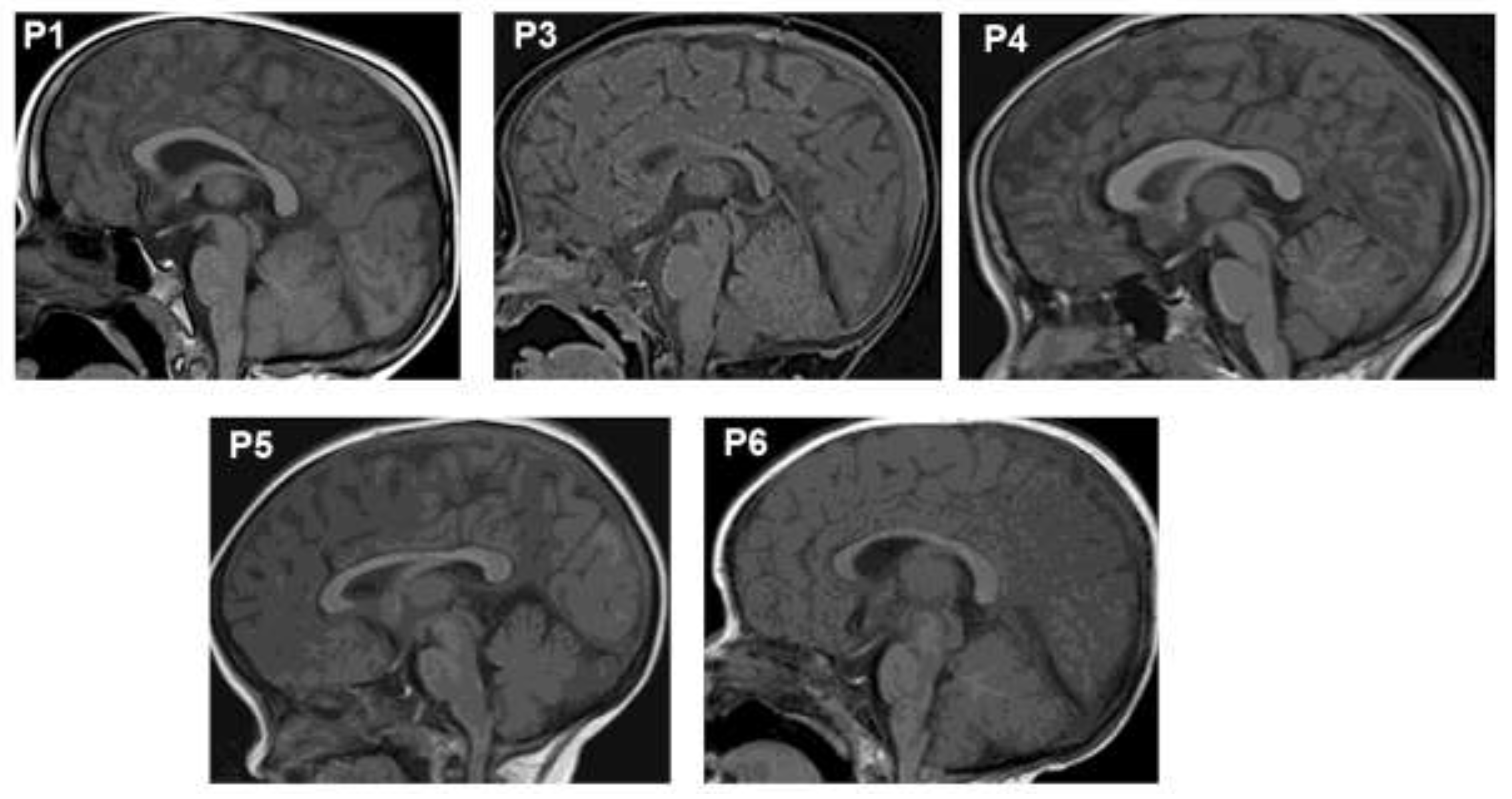 Preprints 147162 g001