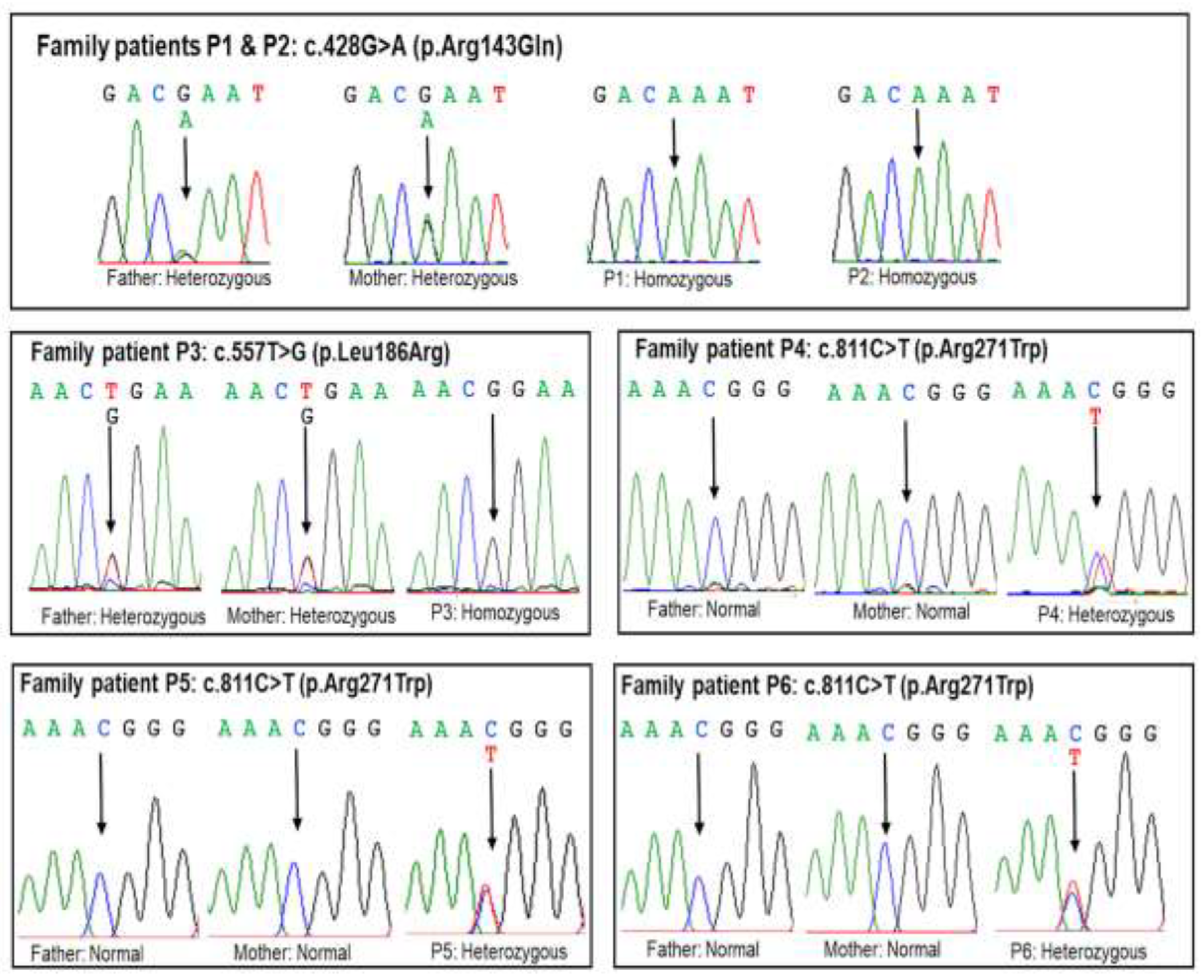 Preprints 147162 g002
