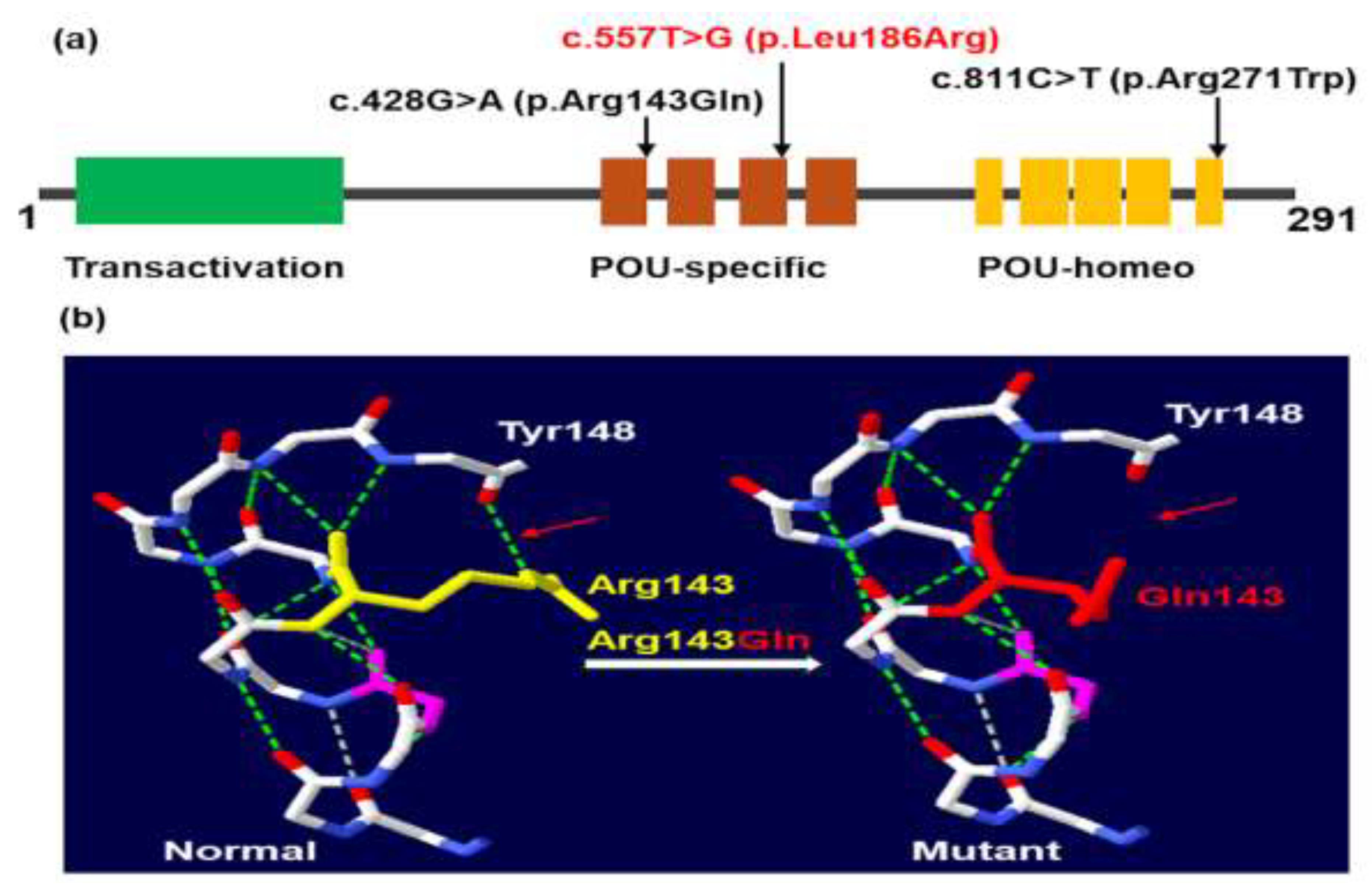 Preprints 147162 g003